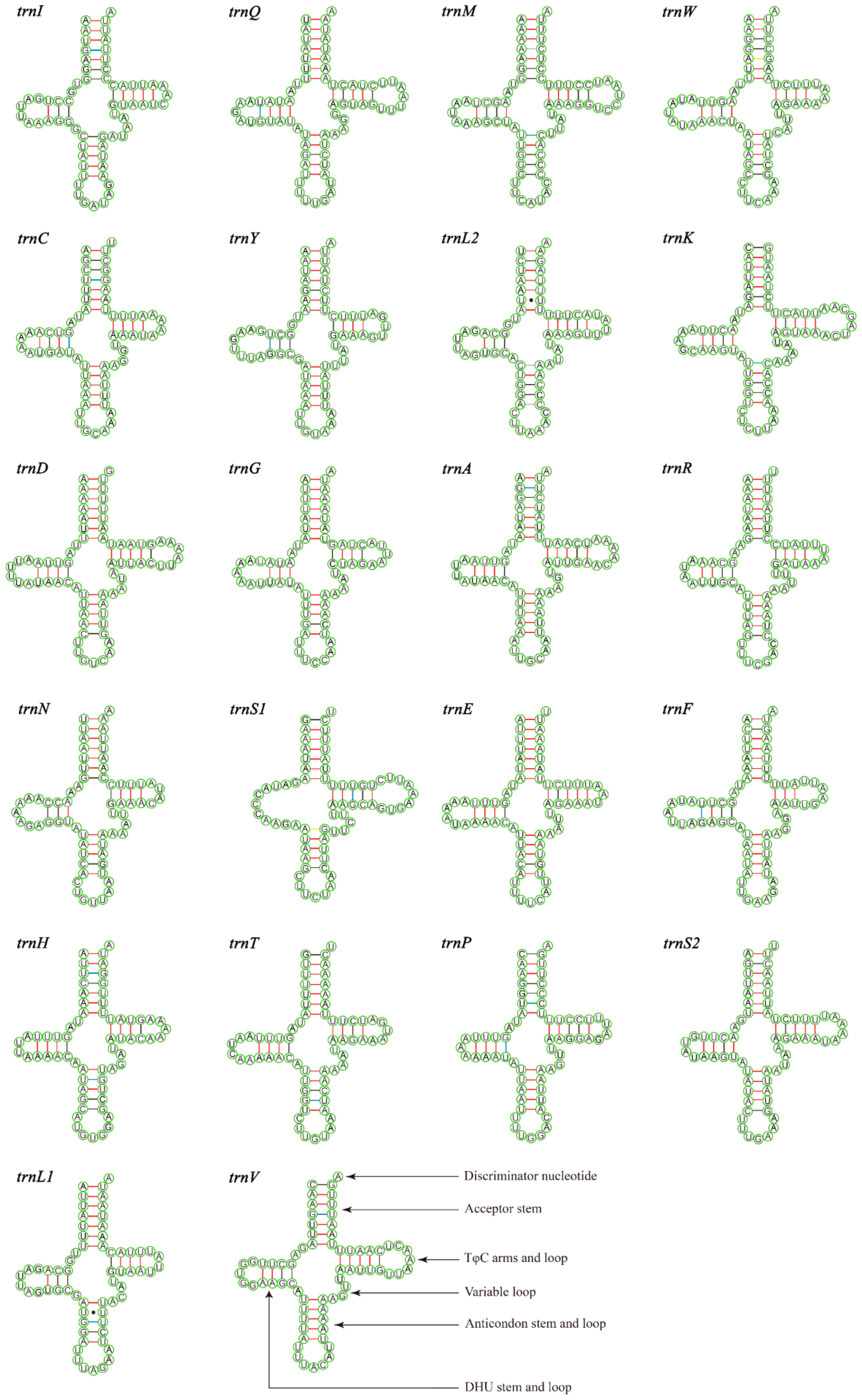 Insects 15 00057 g004