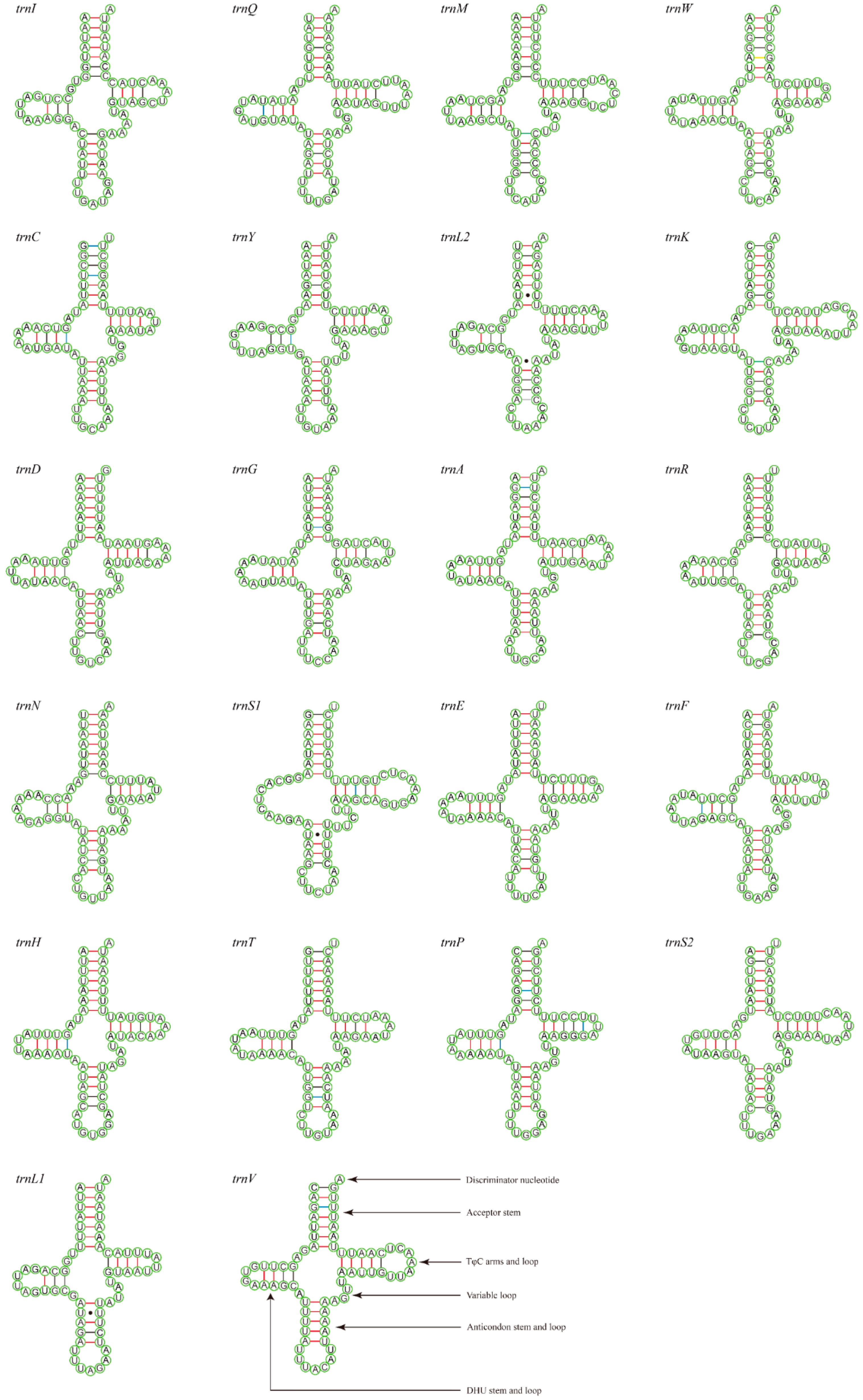 Insects 15 00057 g005