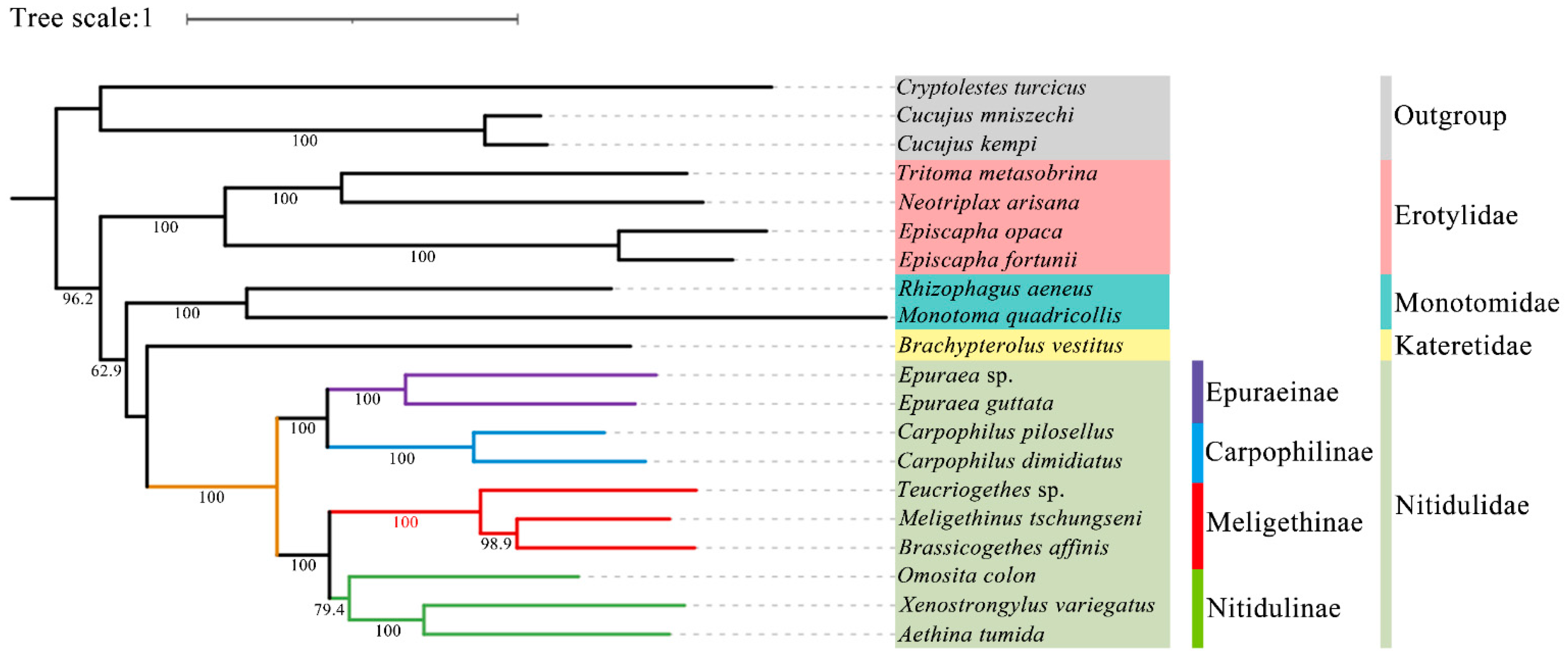 Insects 15 00057 g009