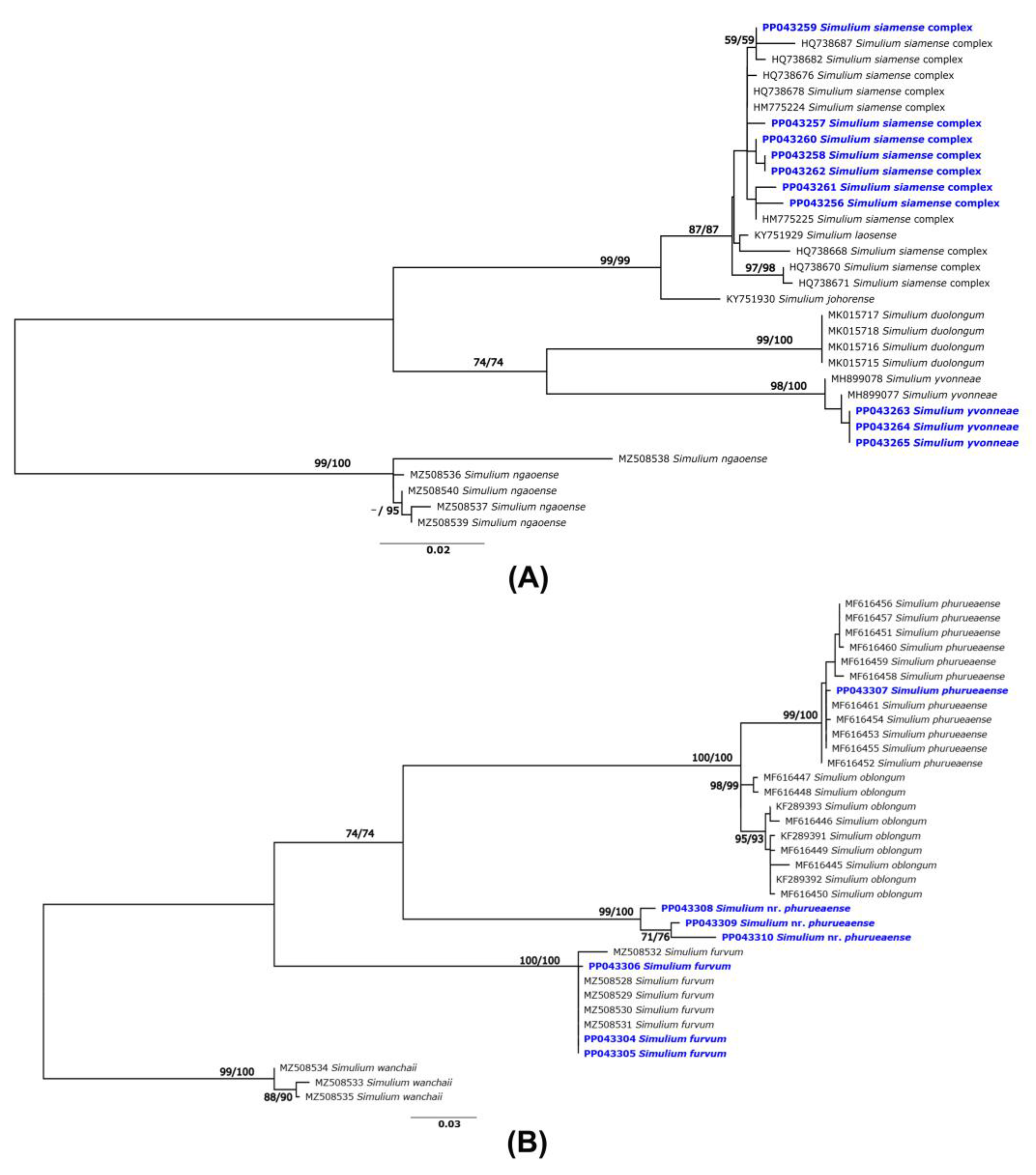 Insects 15 00074 g002