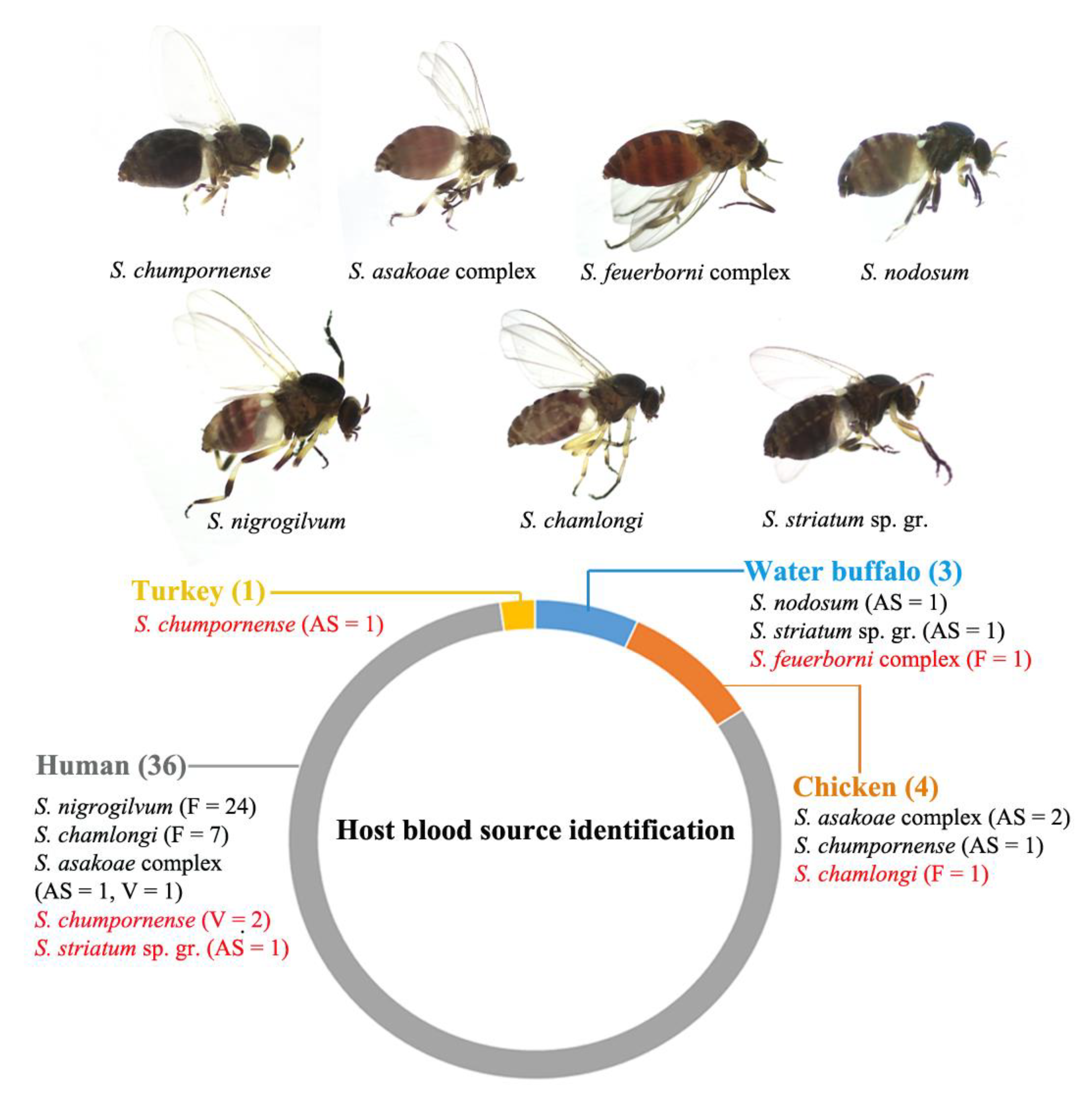 Insects 15 00074 g003
