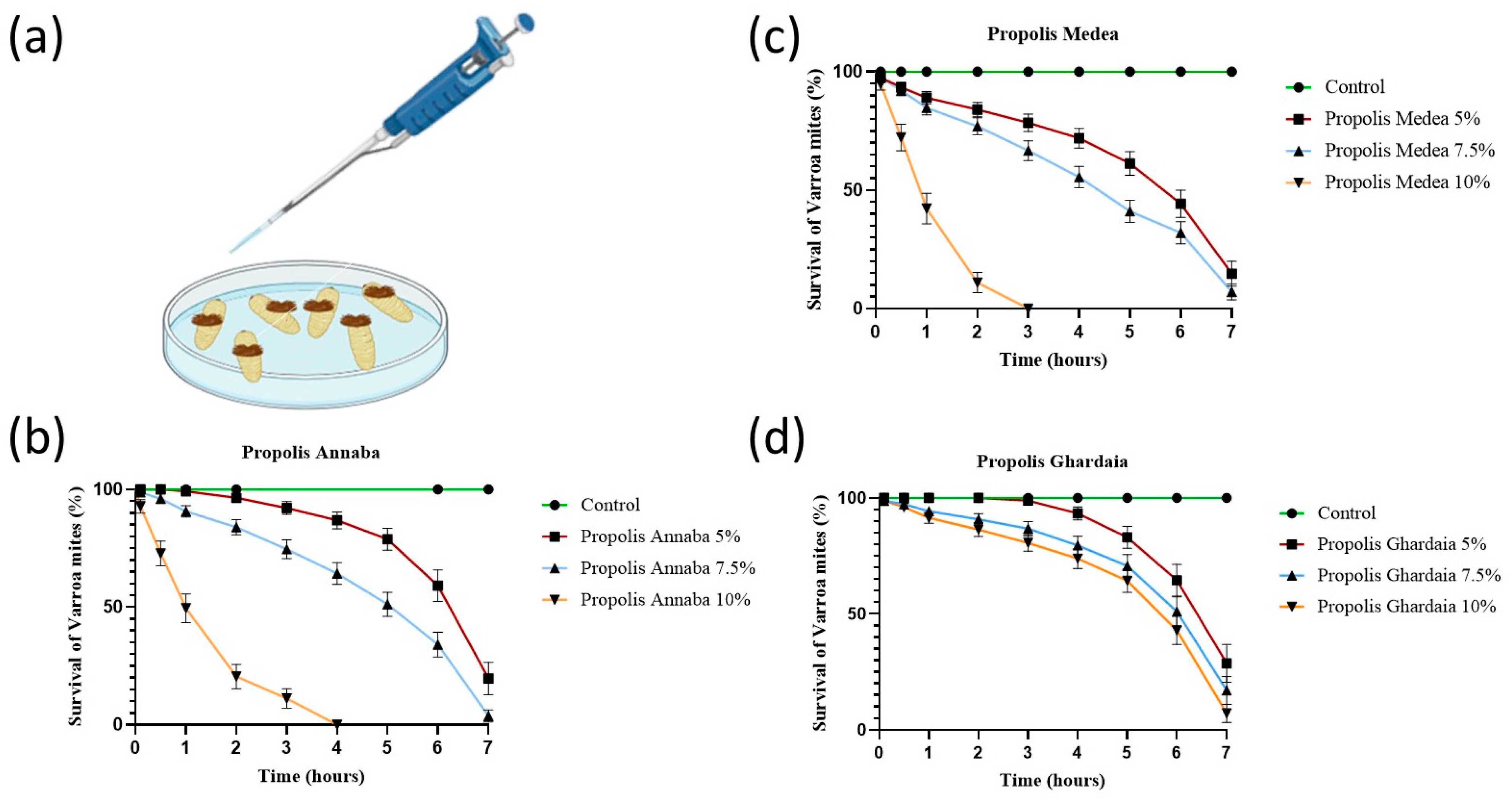 Insects 15 00075 g001