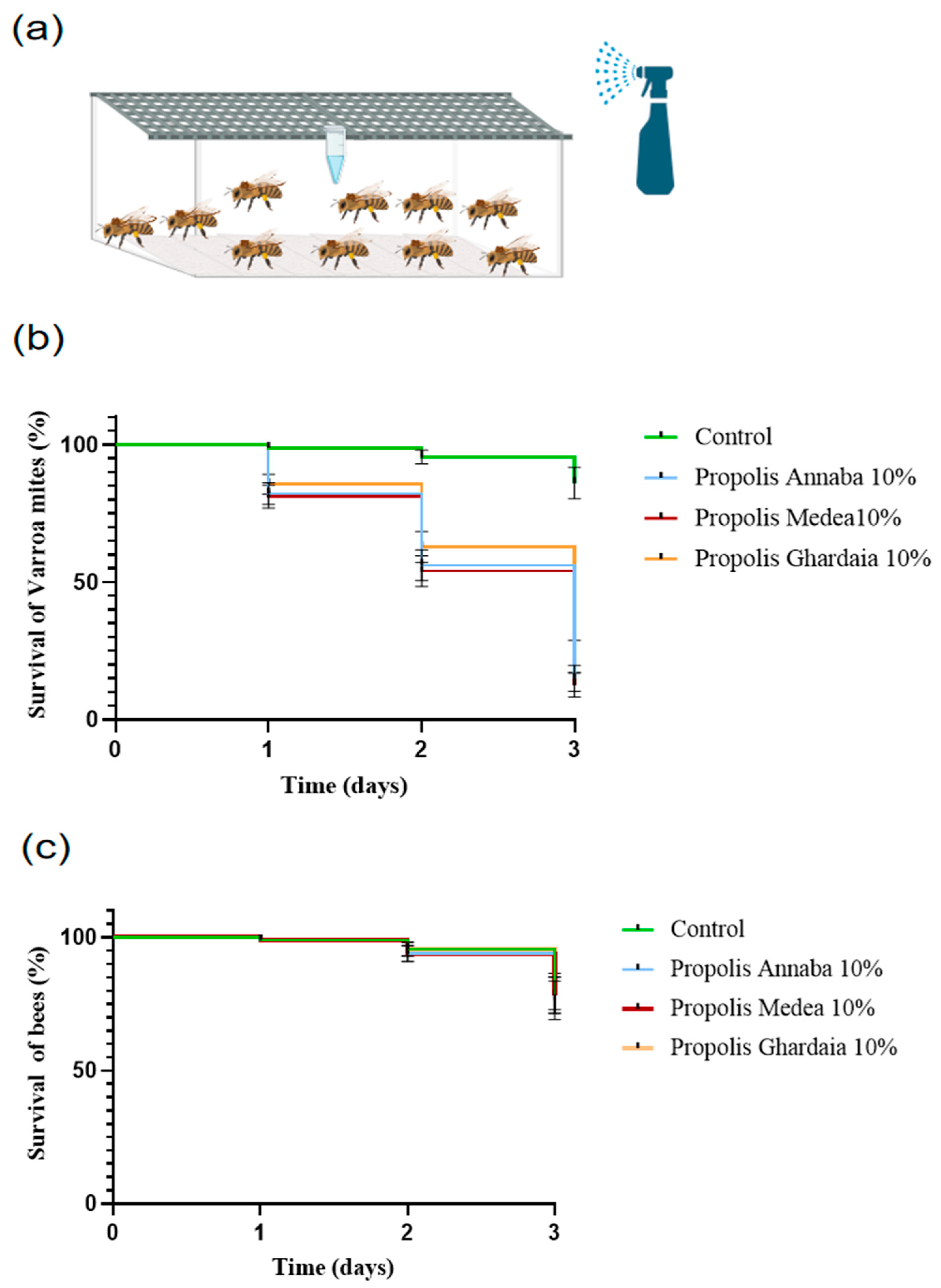 Insects 15 00075 g002