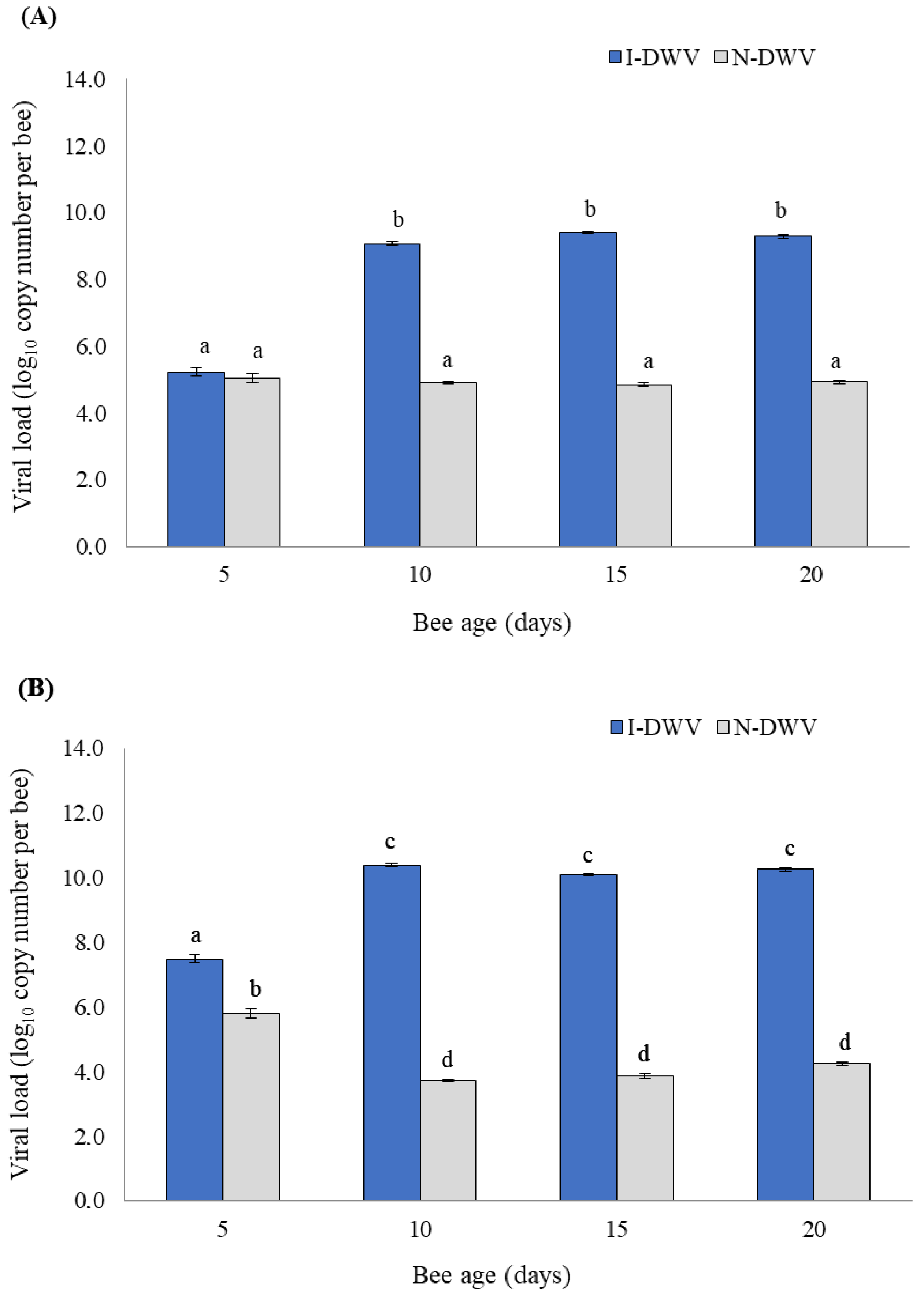 Insects 15 00080 g001