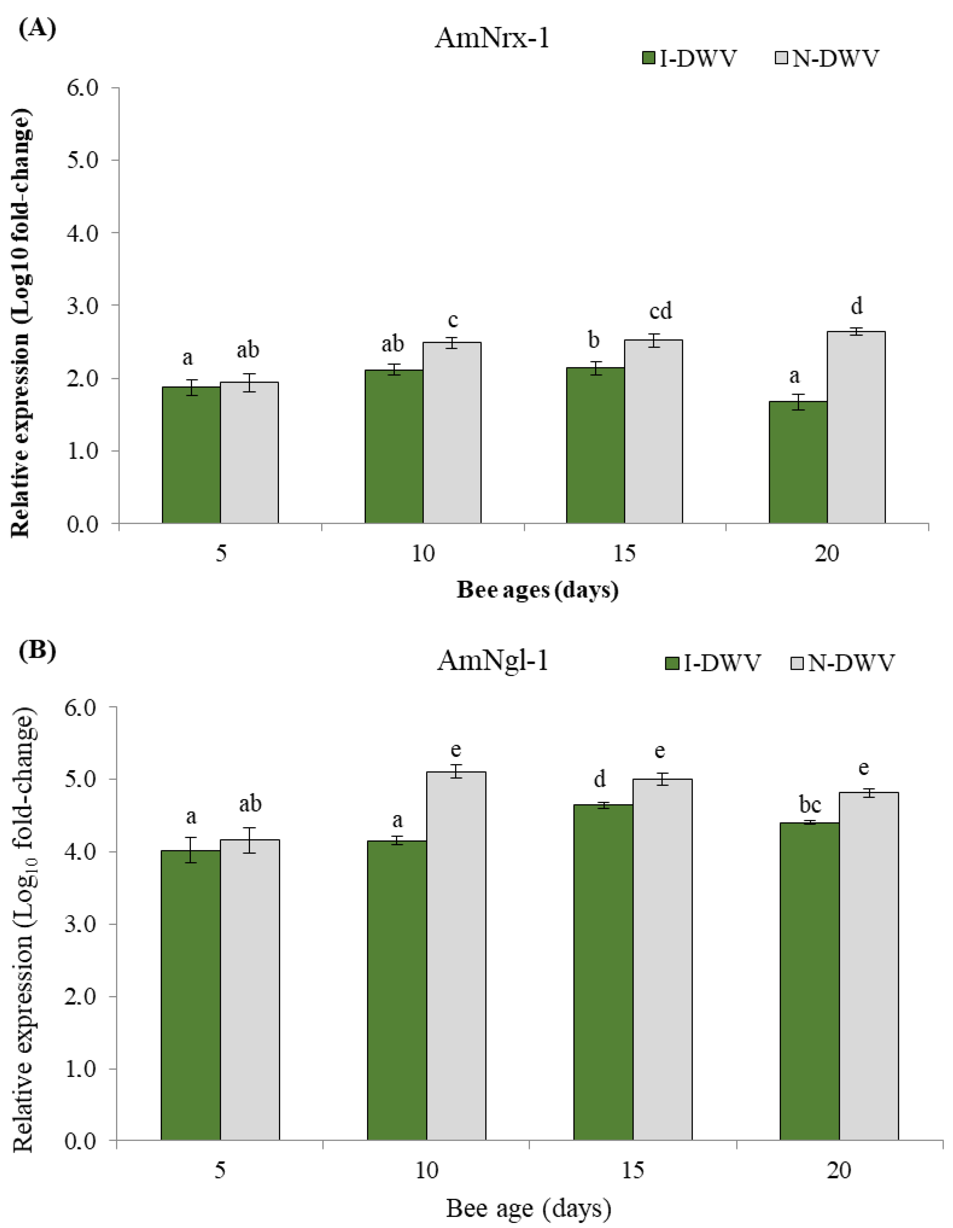 Insects 15 00080 g004