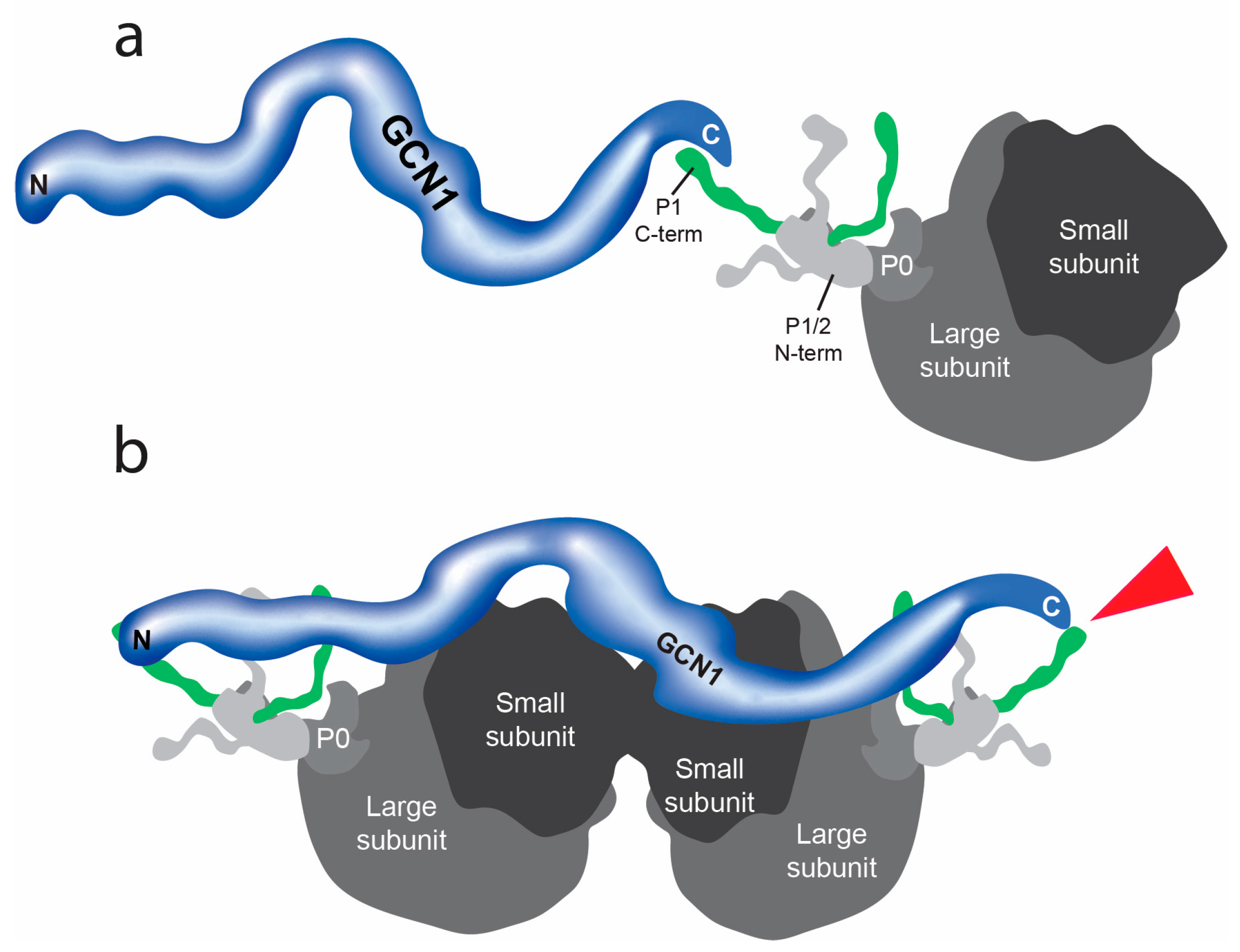 Insects 15 00084 g005