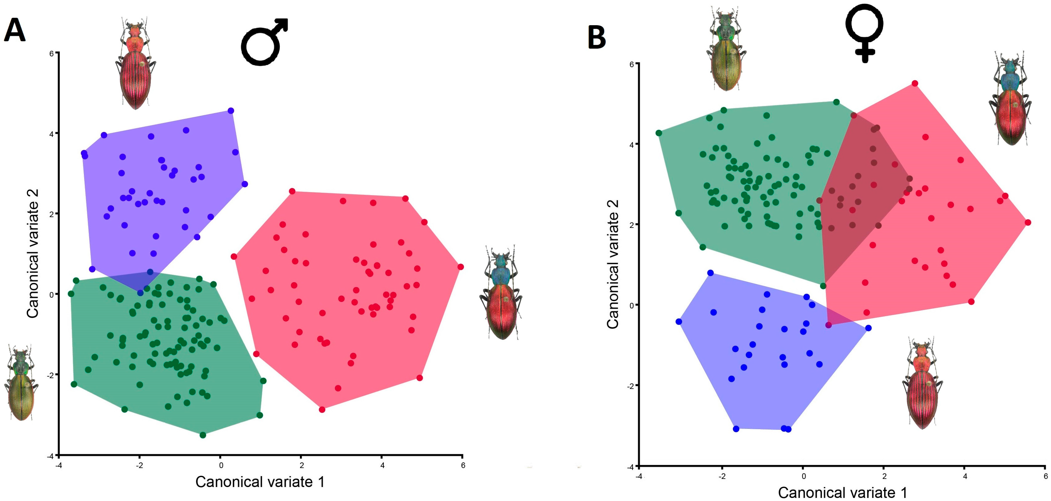 Insects 15 00097 g005