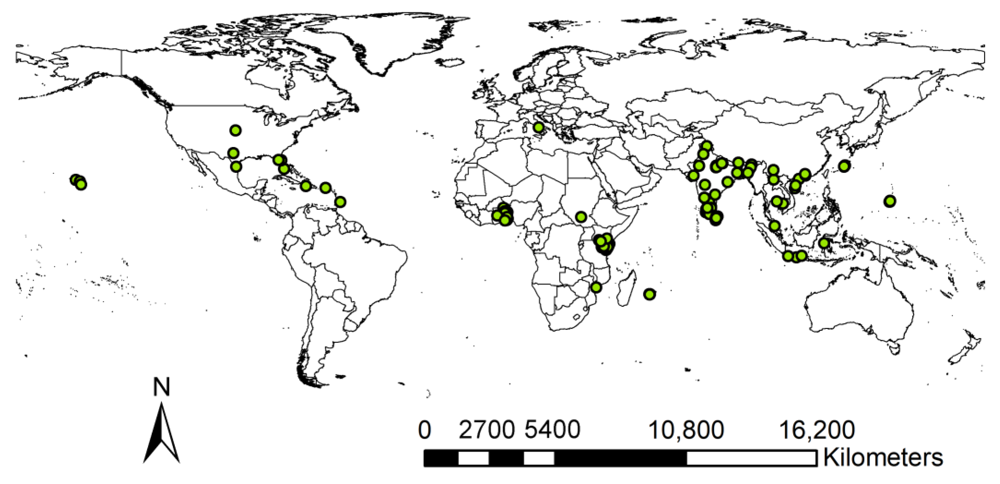 Insects 15 00098 g001