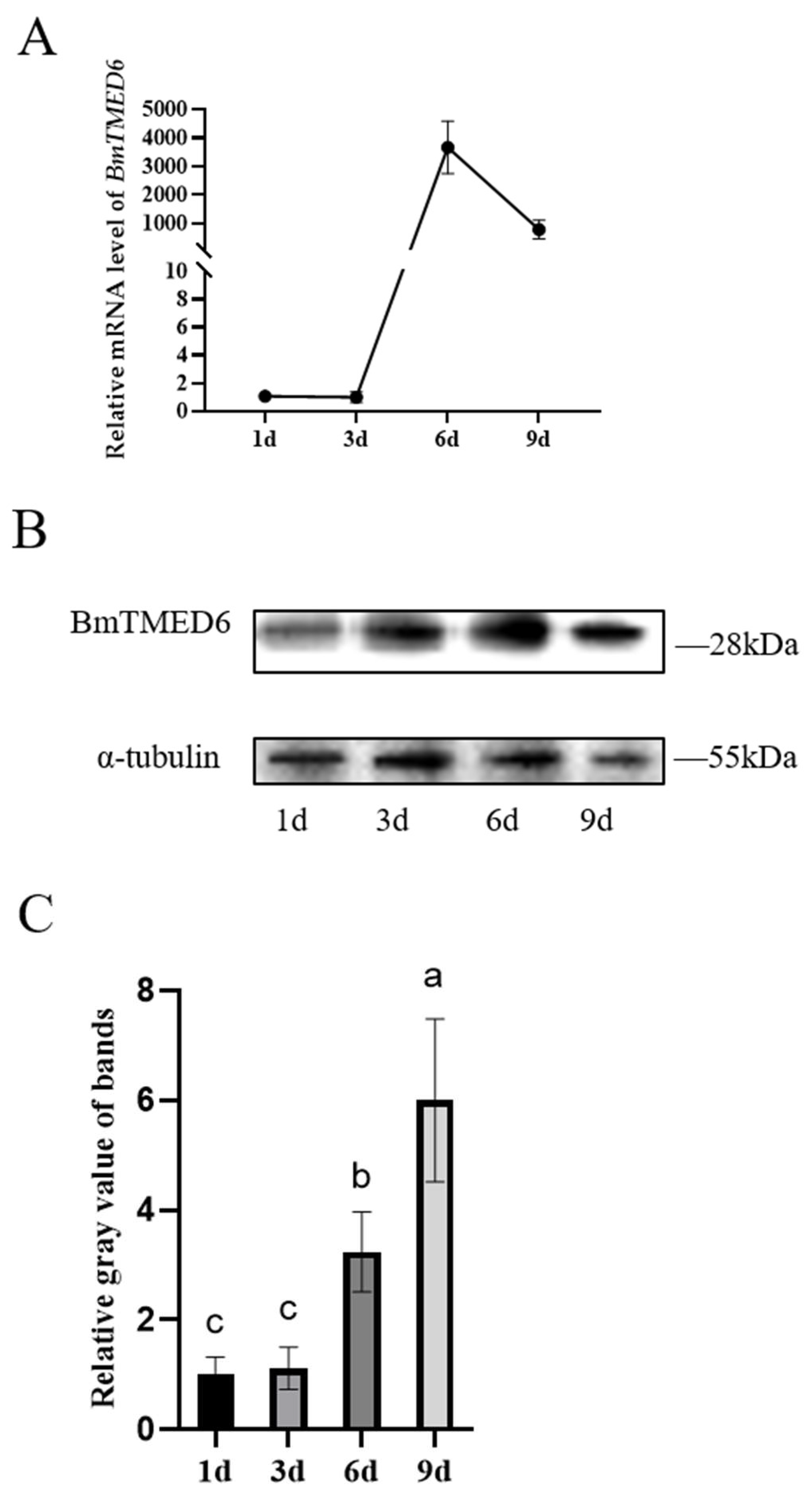 Insects 15 00103 g003
