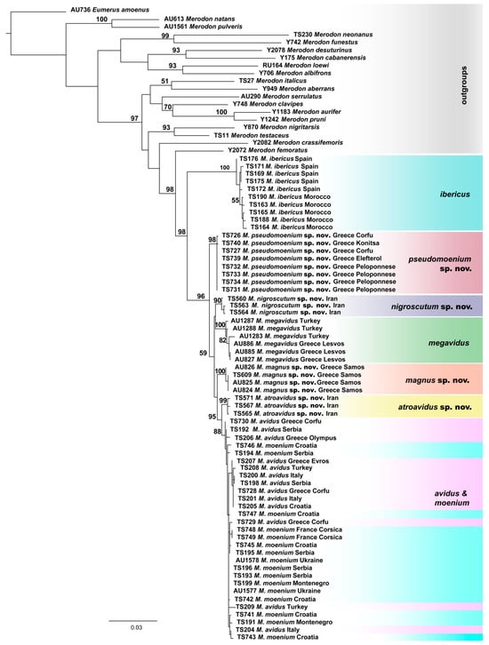 Insects 15 00105 g003