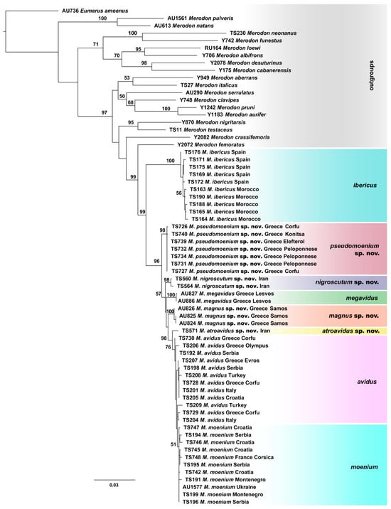 Insects 15 00105 g004