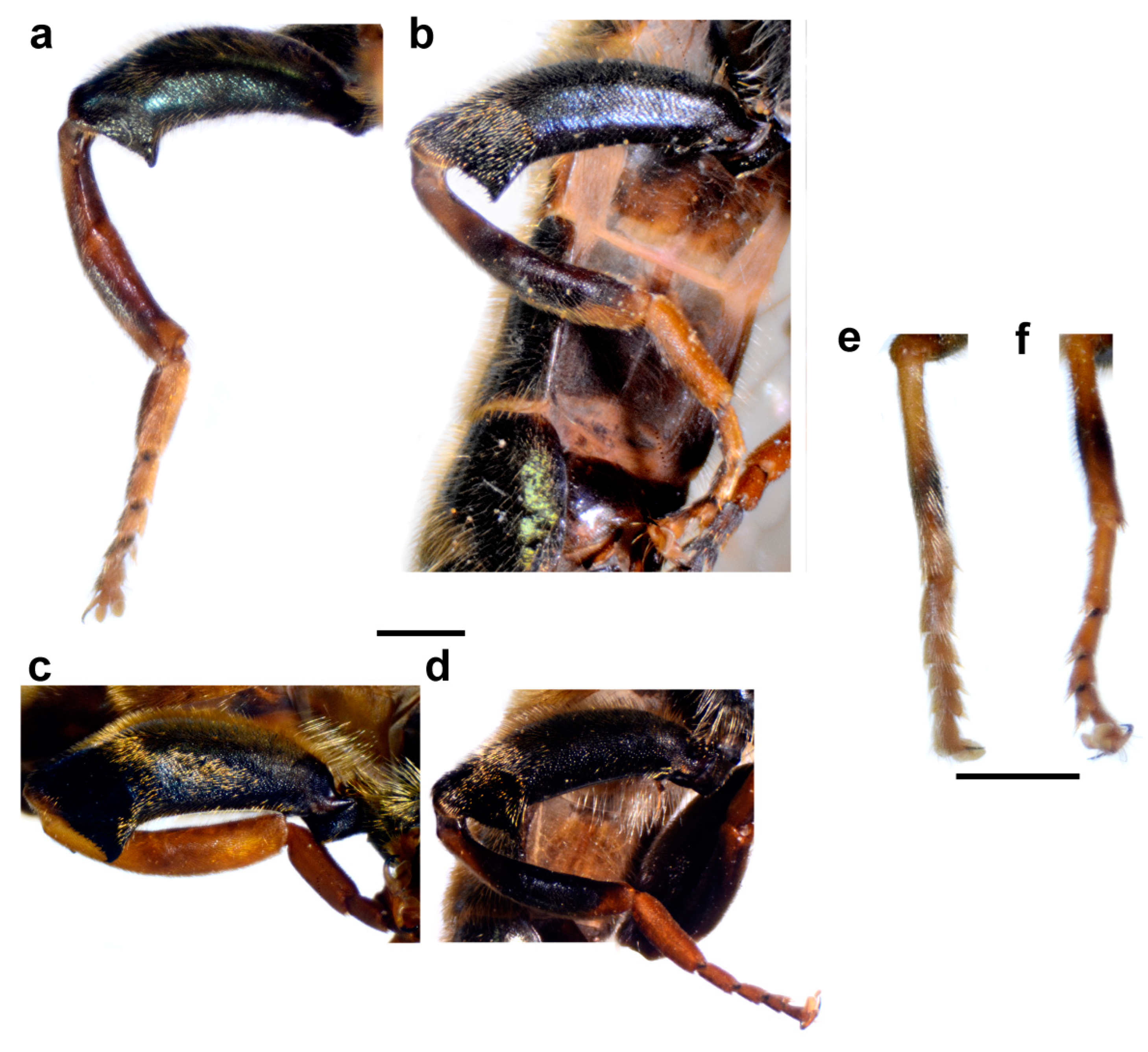 Insects 15 00105 g008