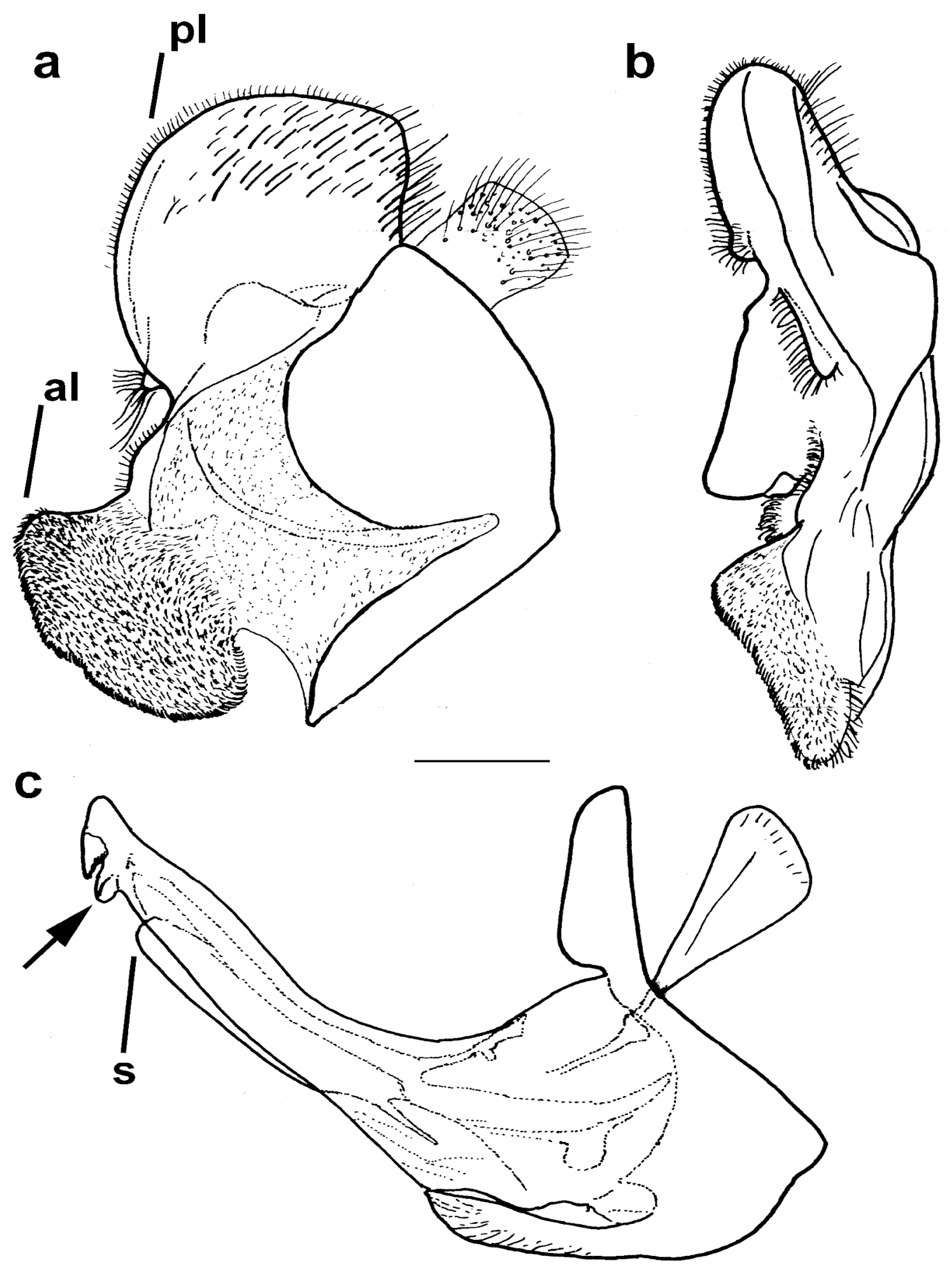 Insects 15 00105 g010