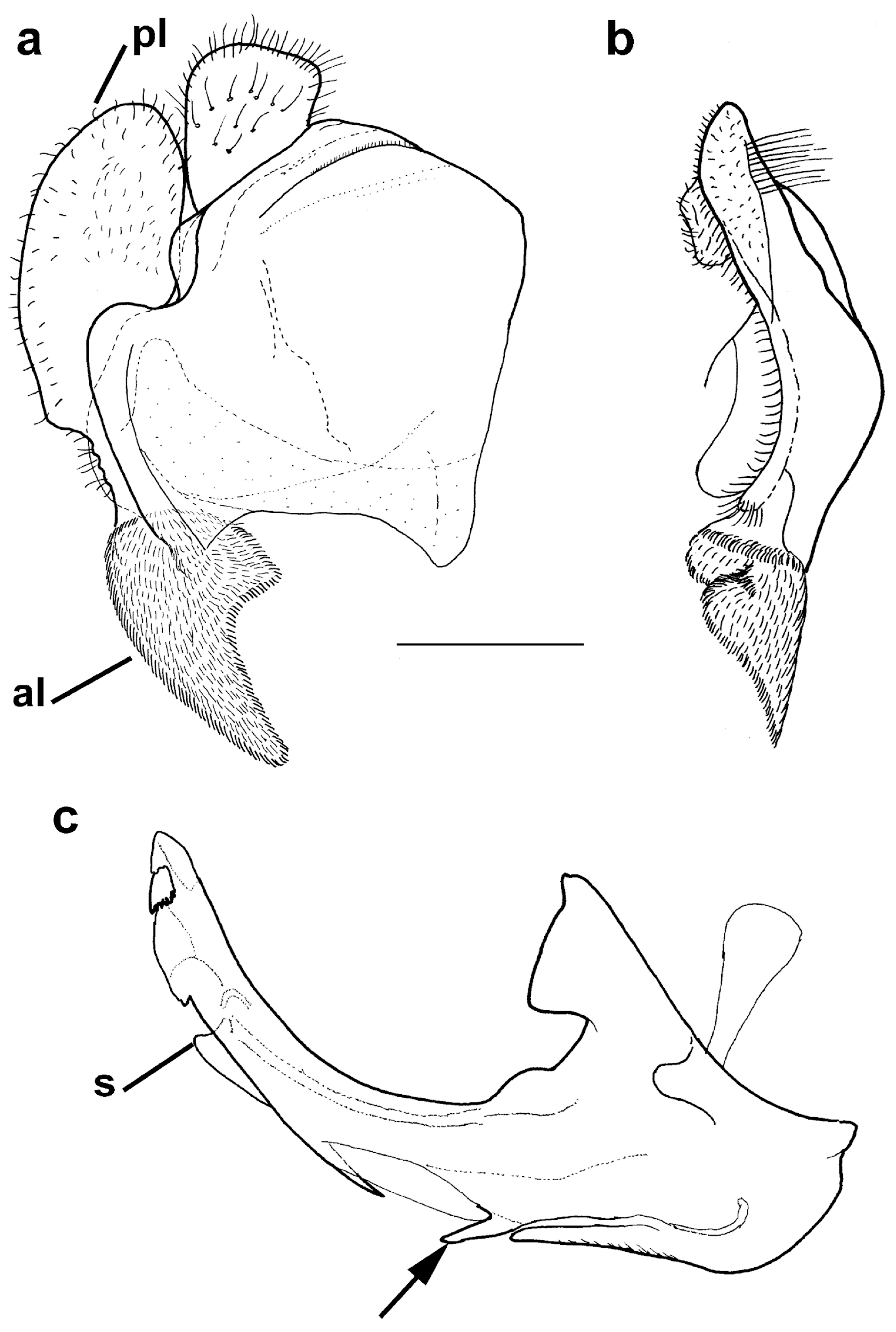 Insects 15 00105 g011