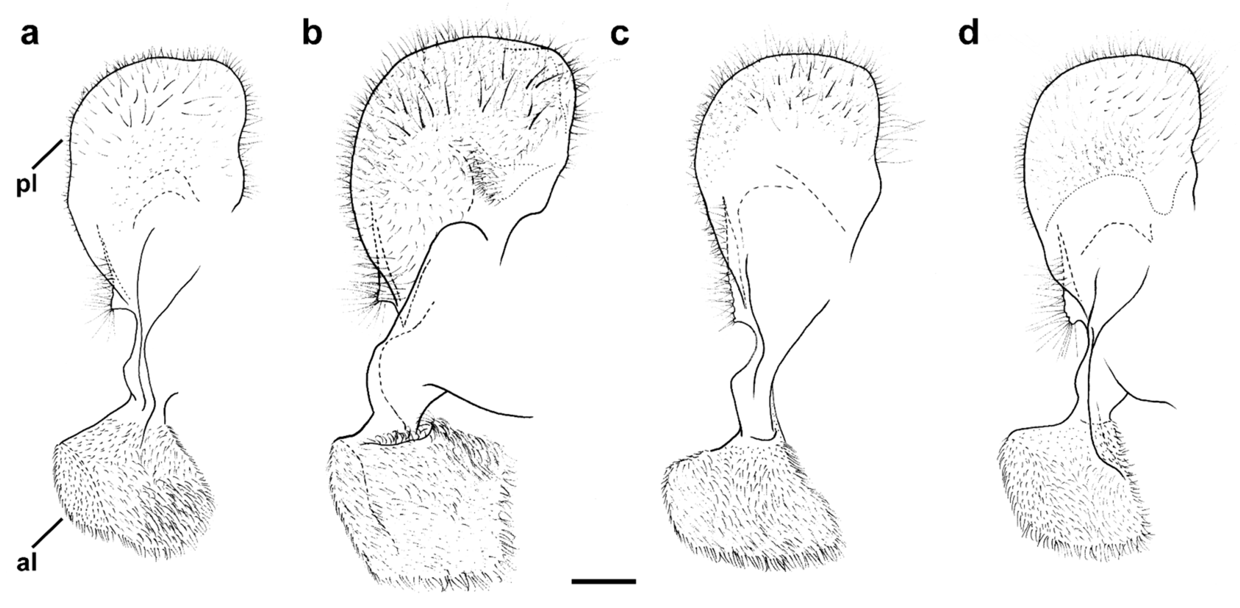 Insects 15 00105 g017