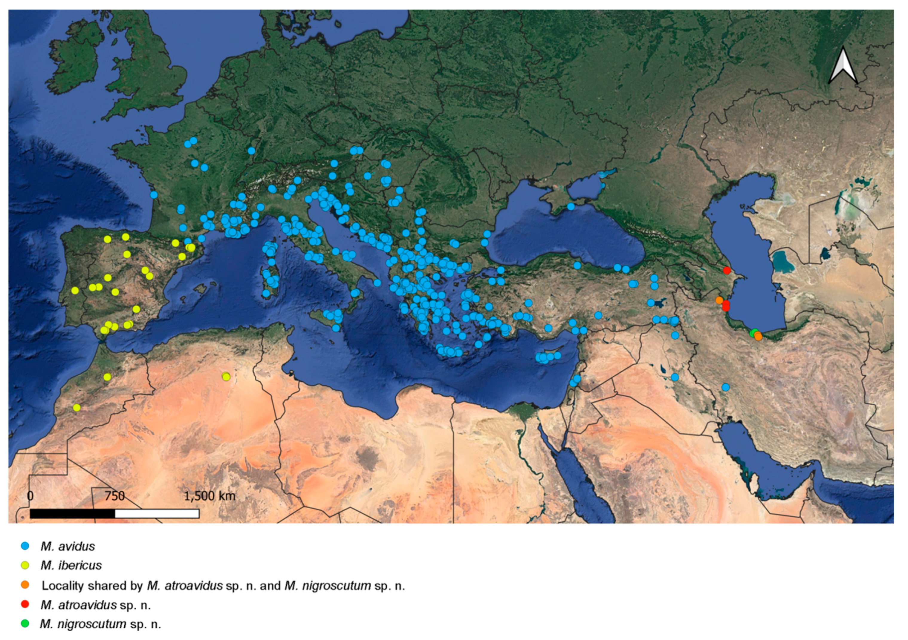 Insects 15 00105 g018