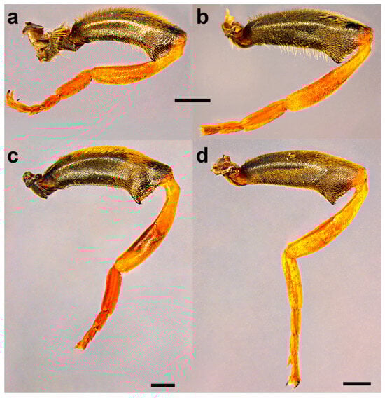 Insects 15 00105 g020