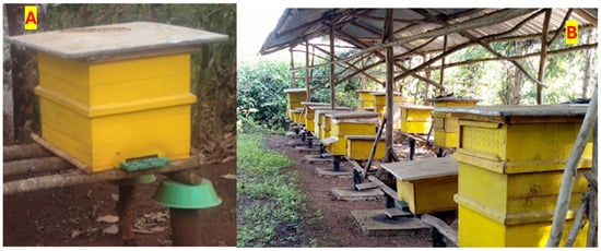 Insects 15 00106 g004