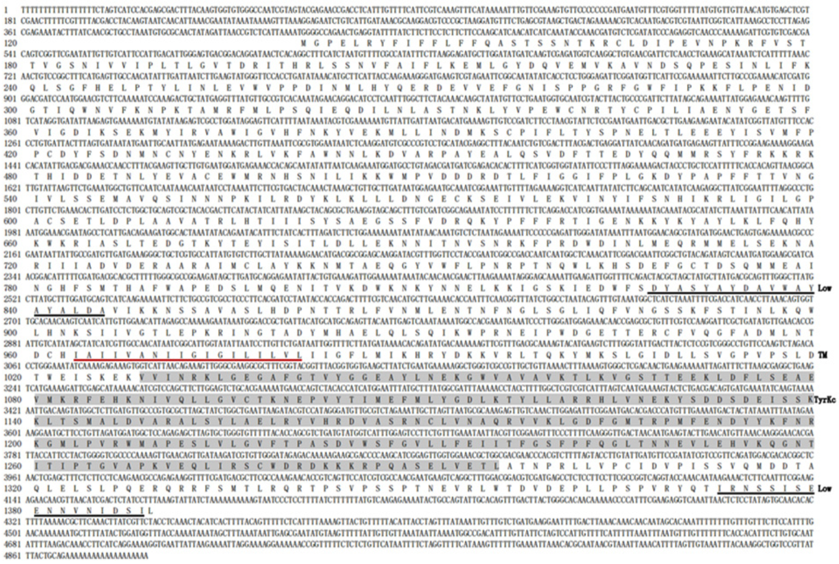 Insects 15 00110 g001