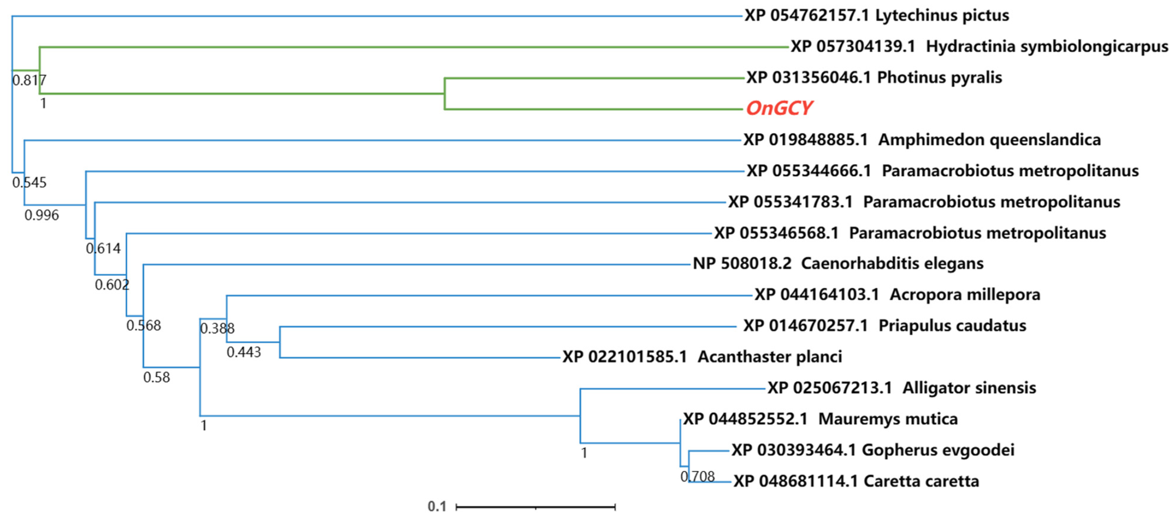 Insects 15 00110 g002