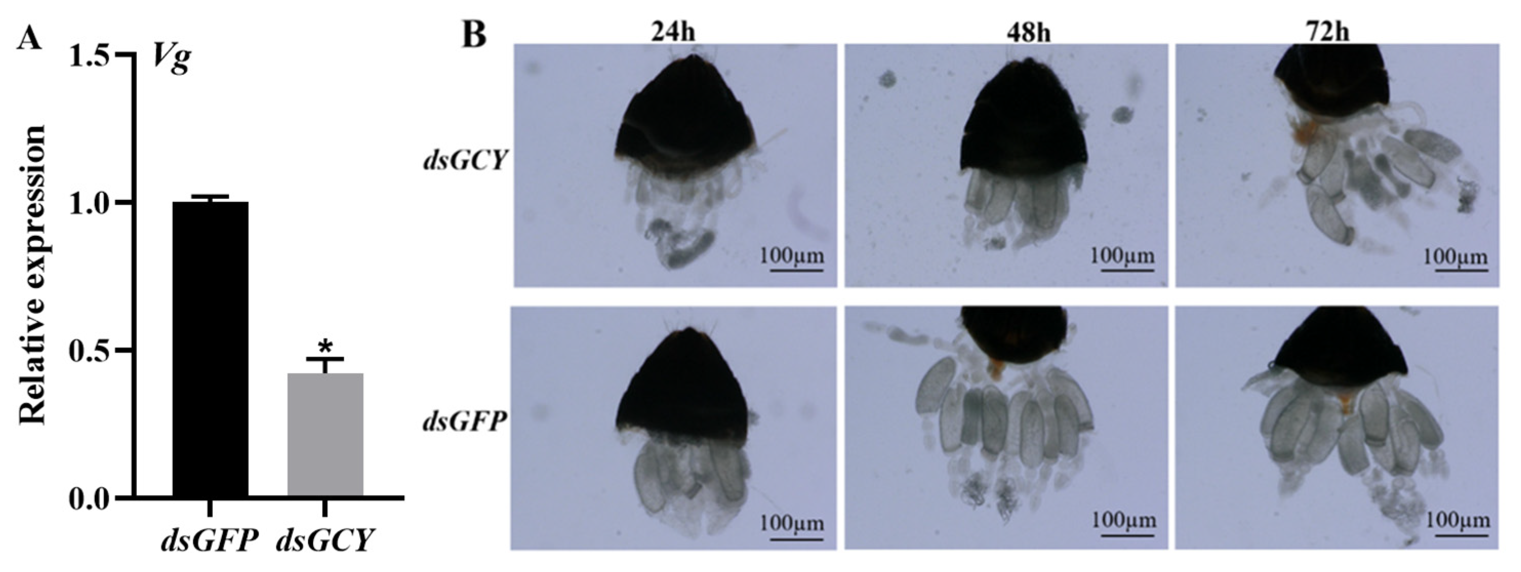 Insects 15 00110 g006