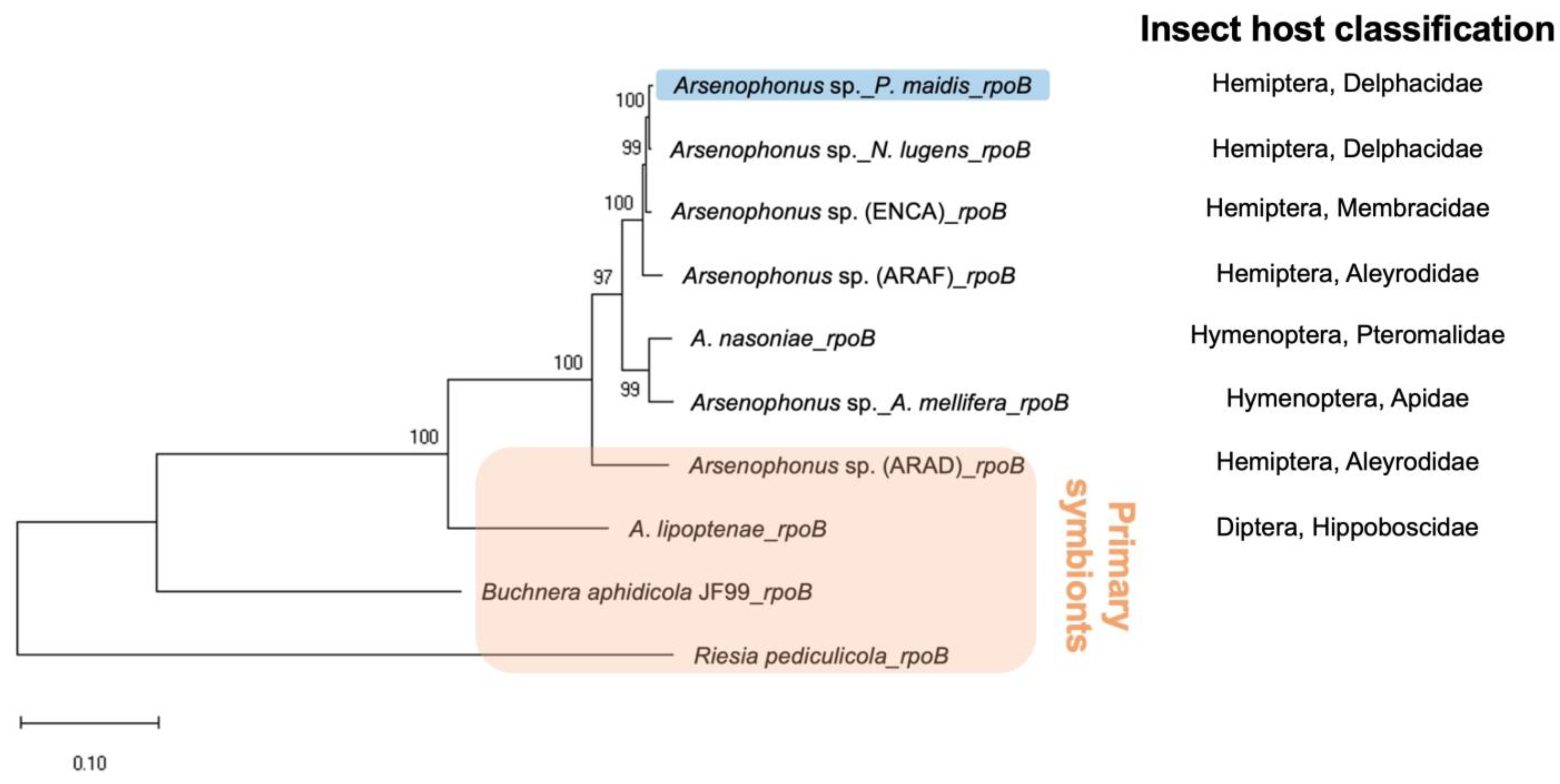 Insects 15 00113 g002