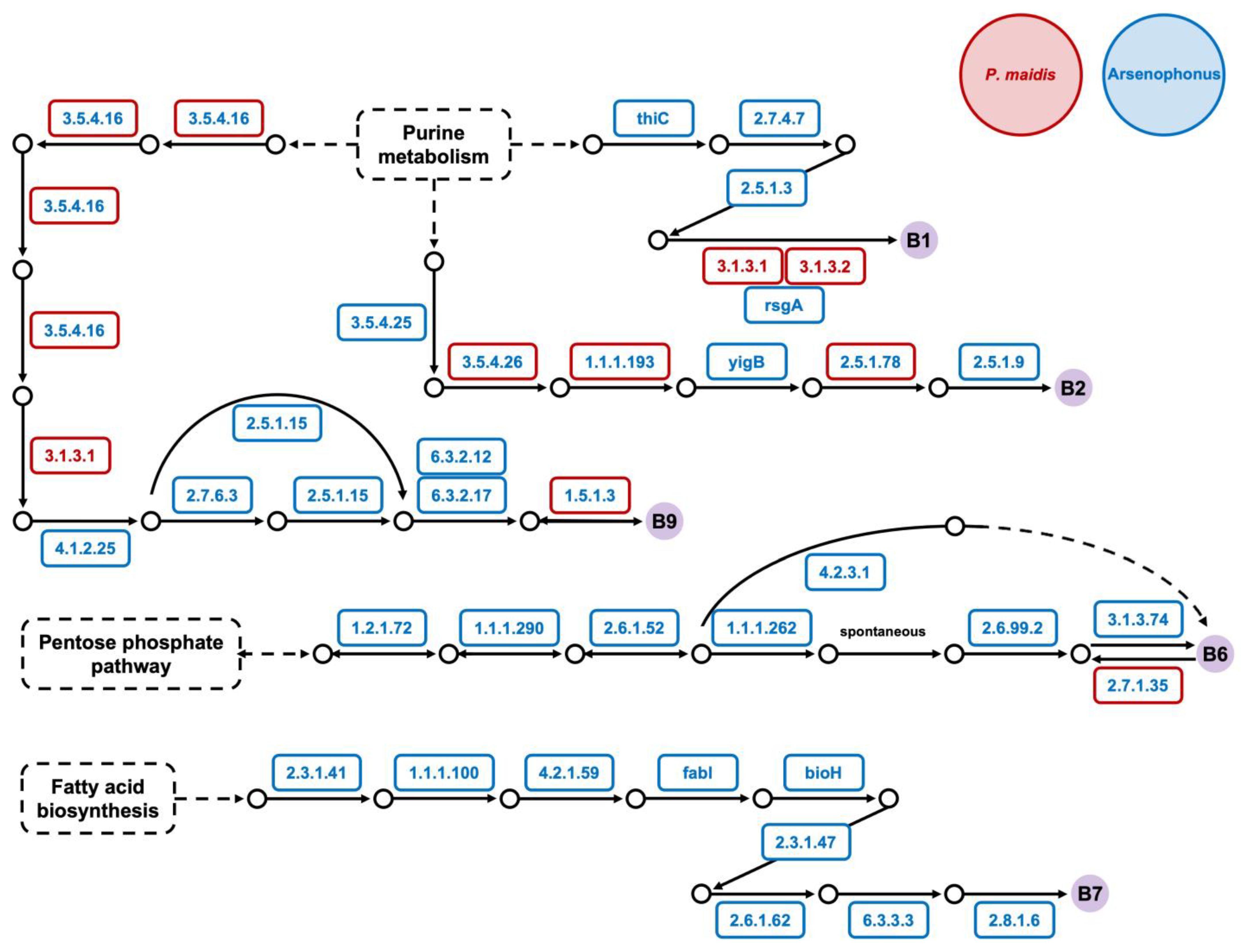 Insects 15 00113 g003