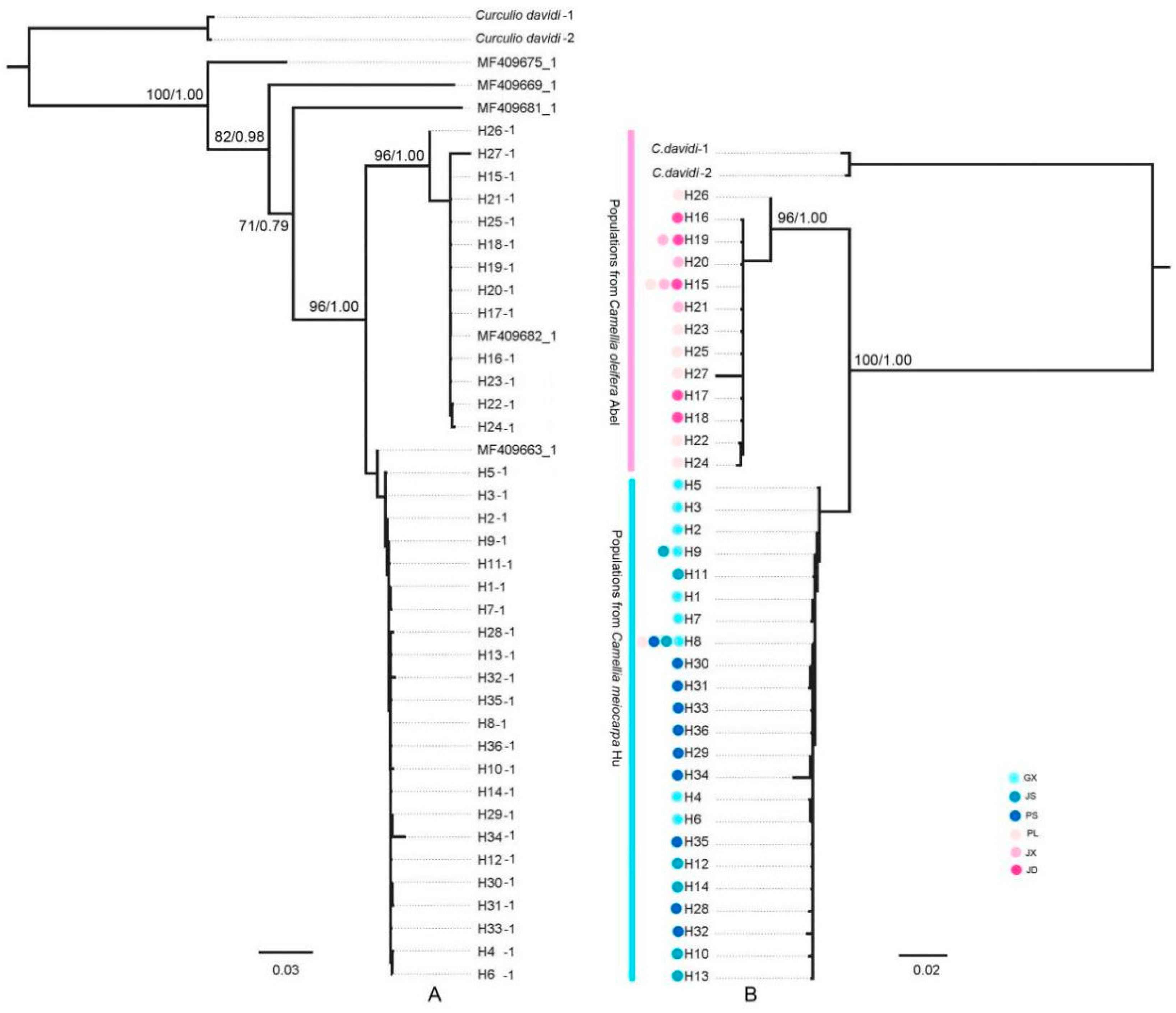 Insects 15 00116 g002