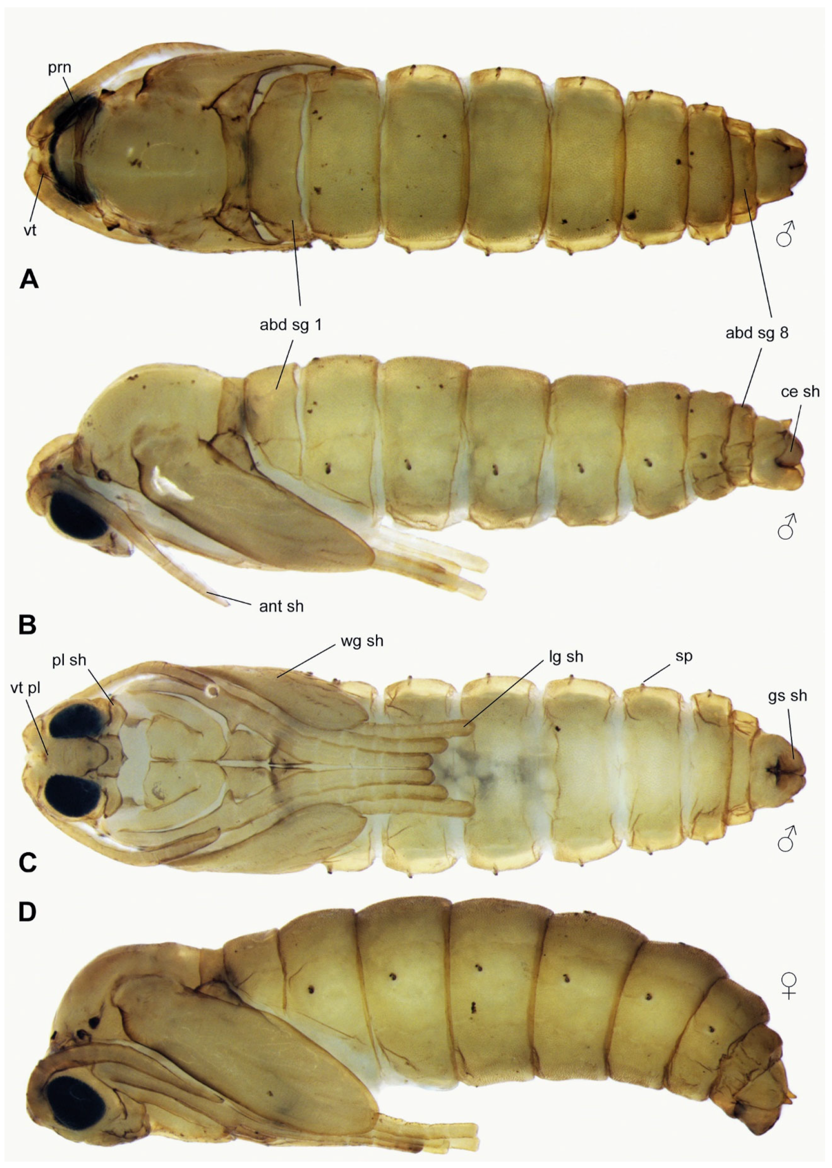 Insects 15 00118 g005