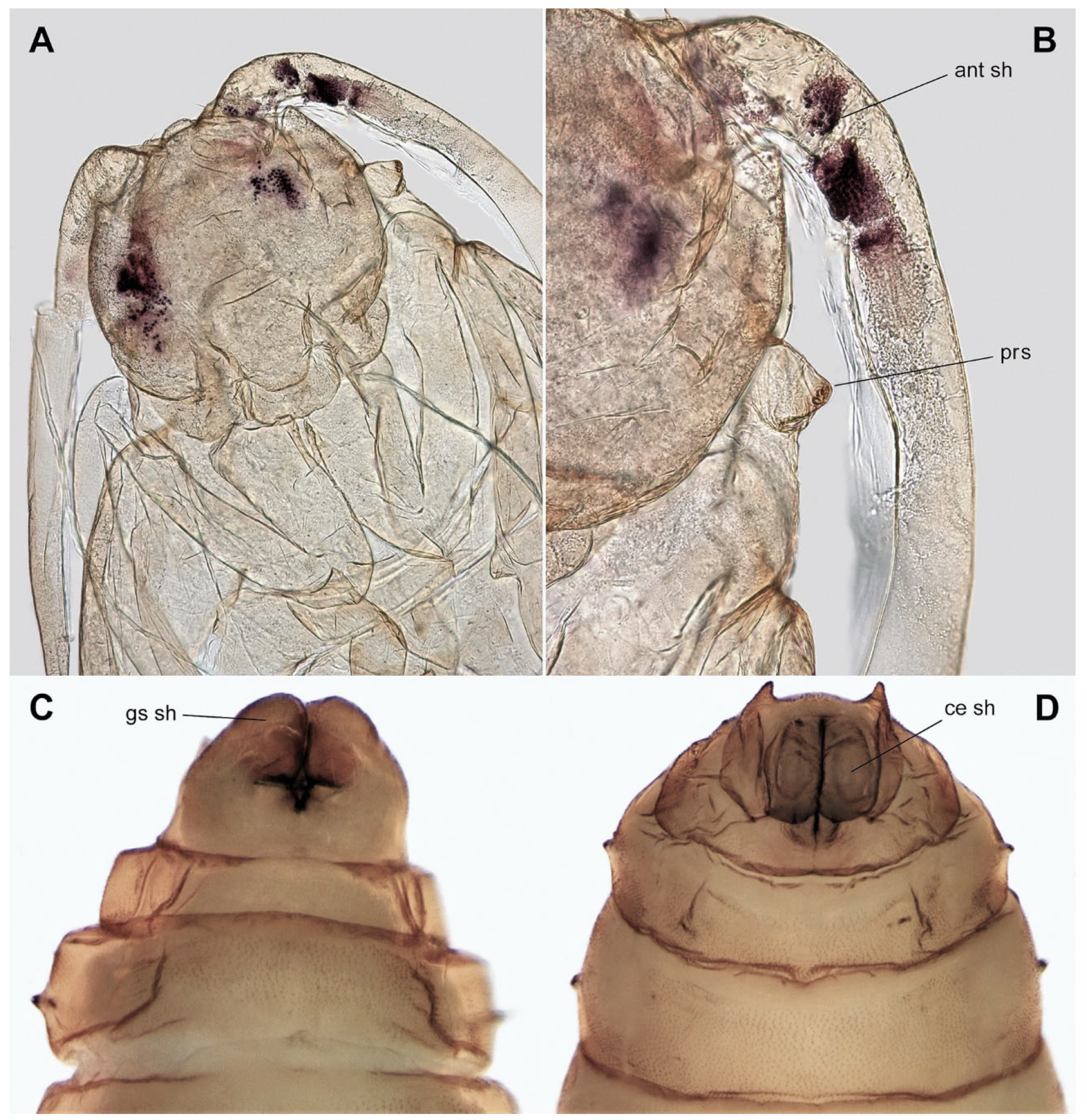 Insects 15 00118 g006