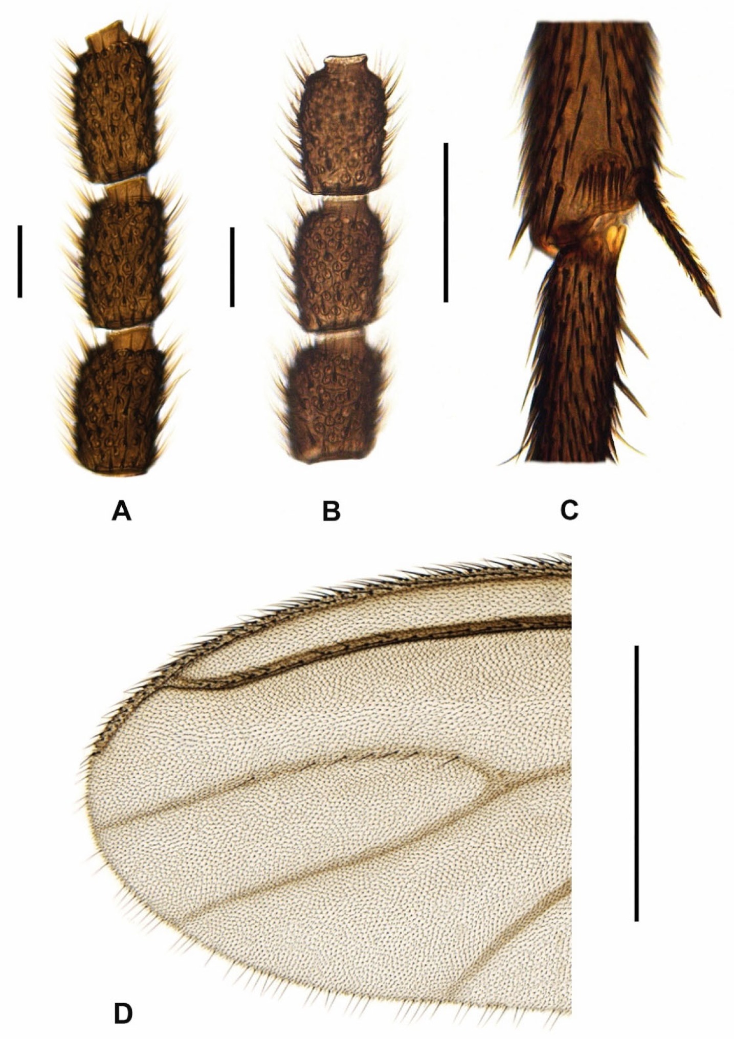 Insects 15 00118 g008