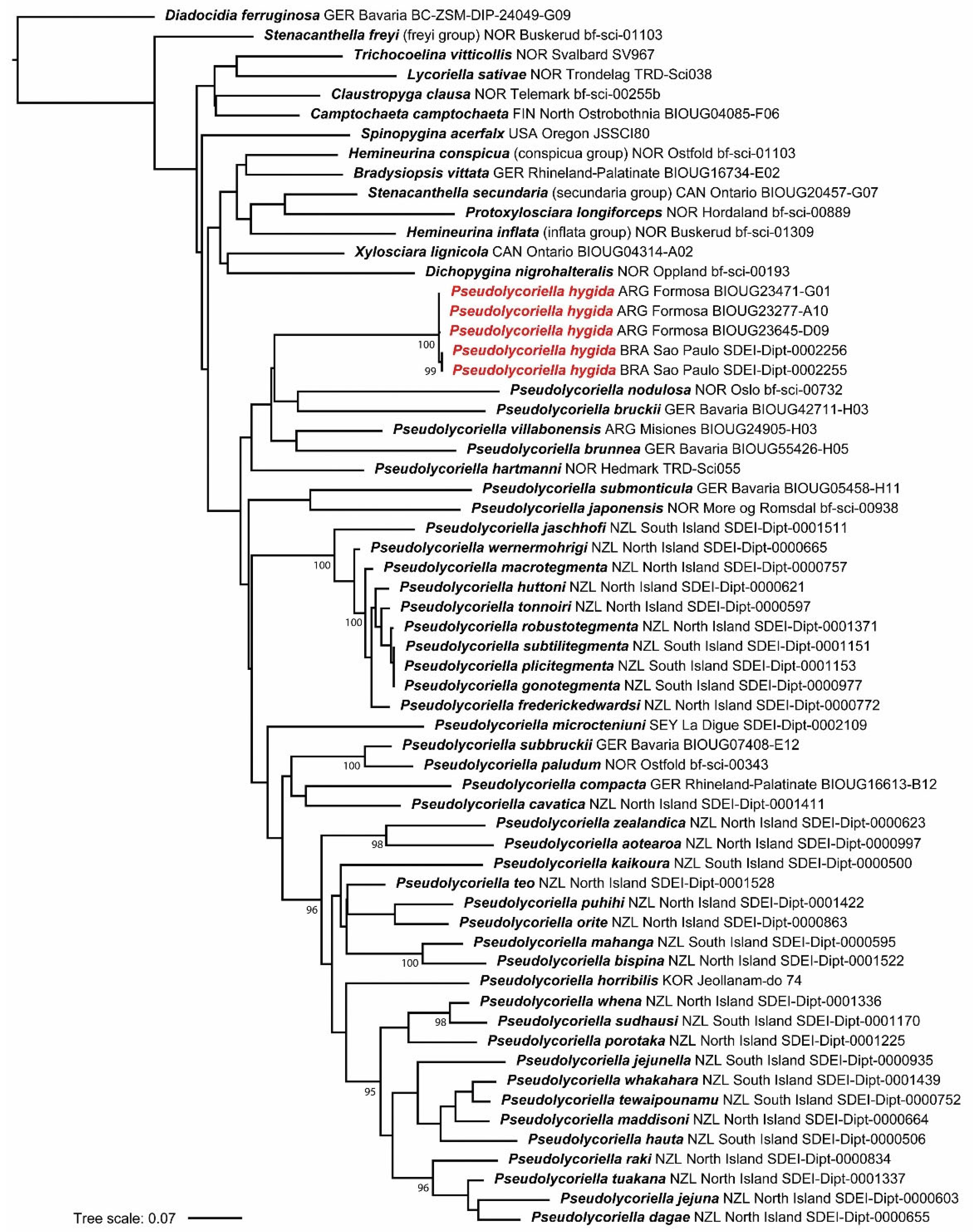 Insects 15 00118 g010