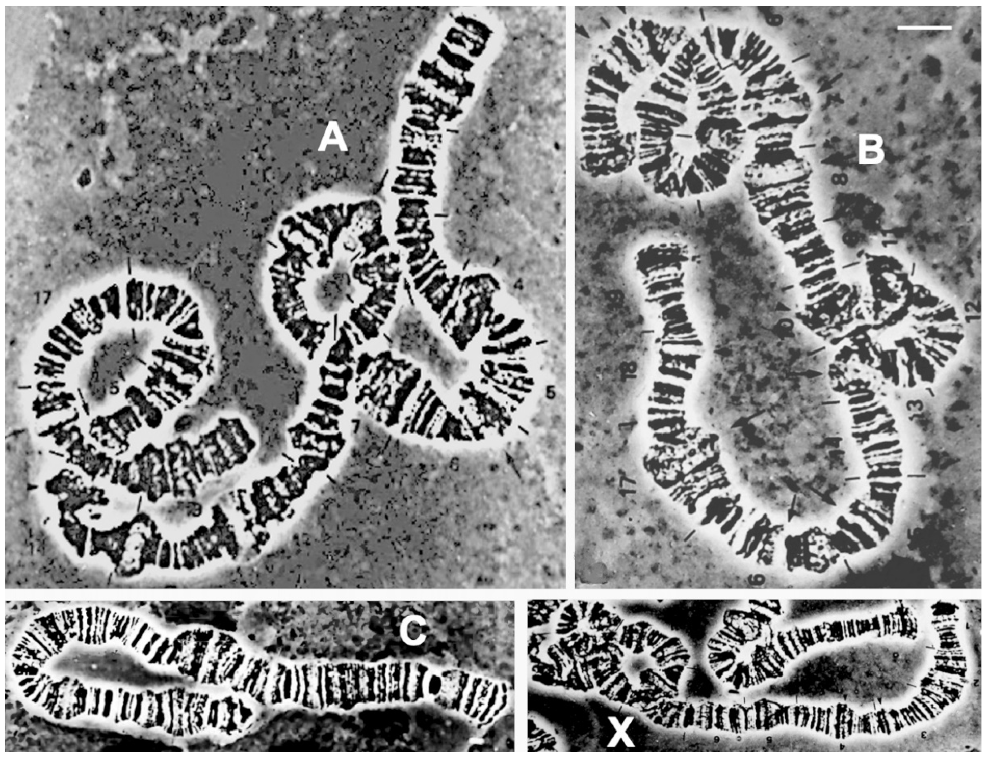 Insects 15 00118 g011