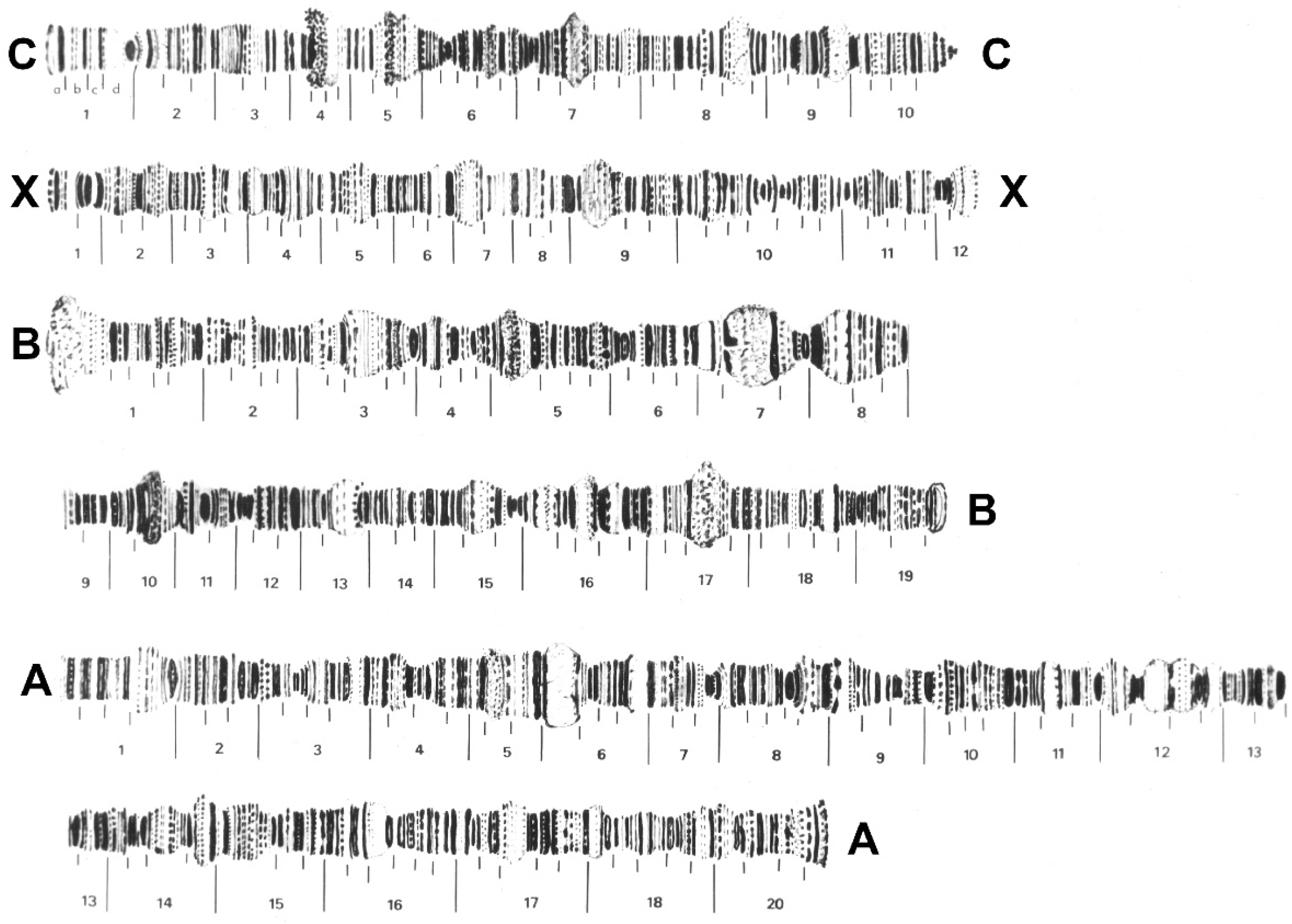 Insects 15 00118 g012