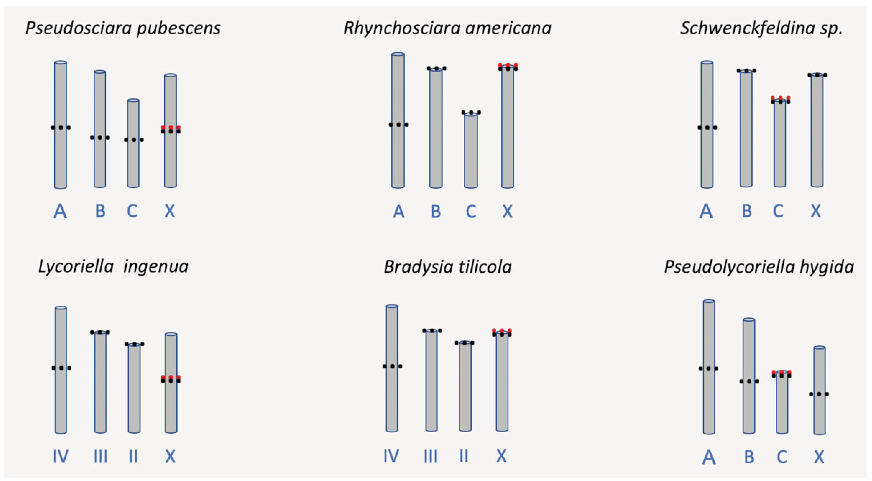 Insects 15 00118 g013
