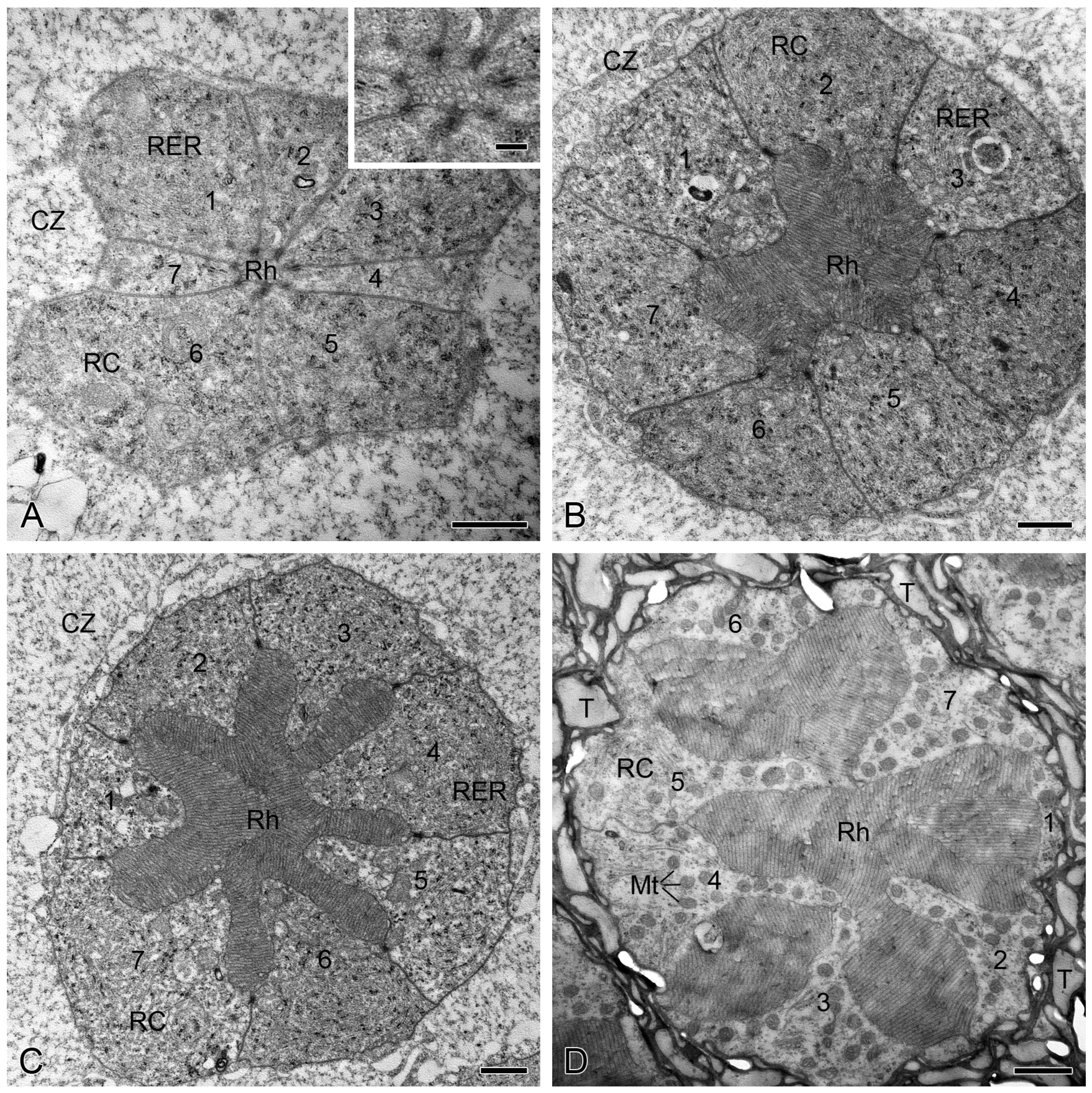 Insects 15 00135 g003