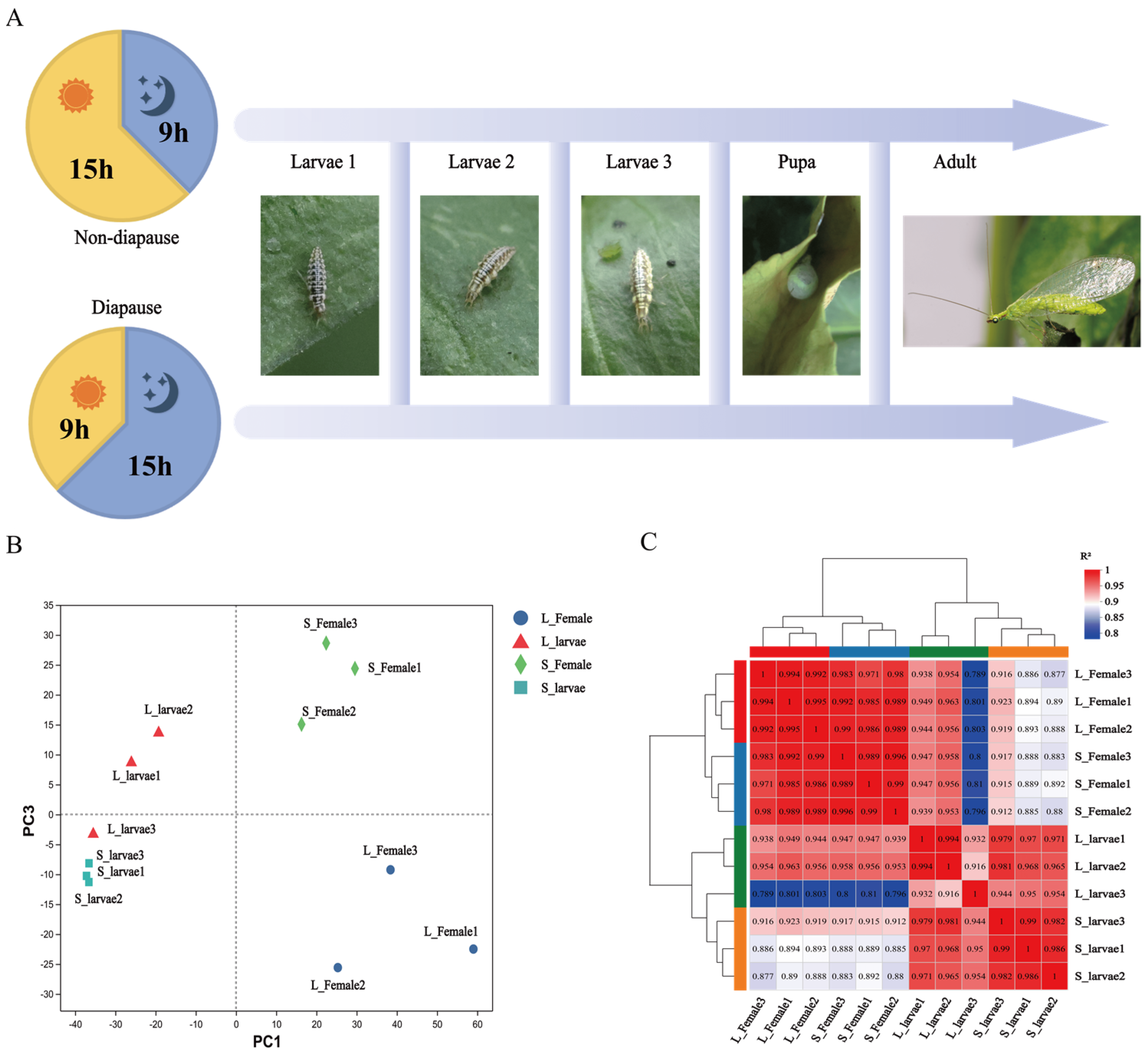Insects 15 00136 g001