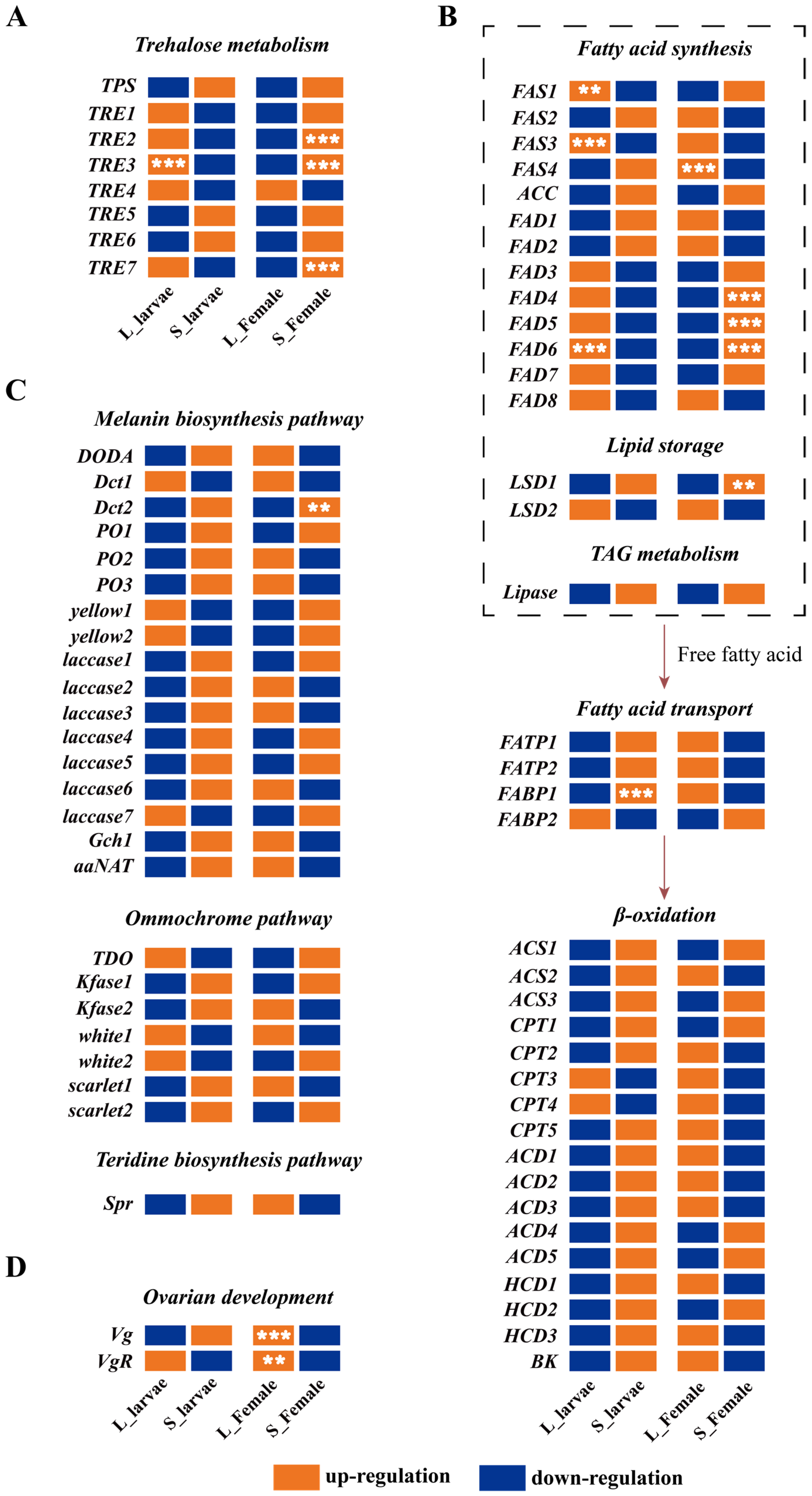 Insects 15 00136 g004