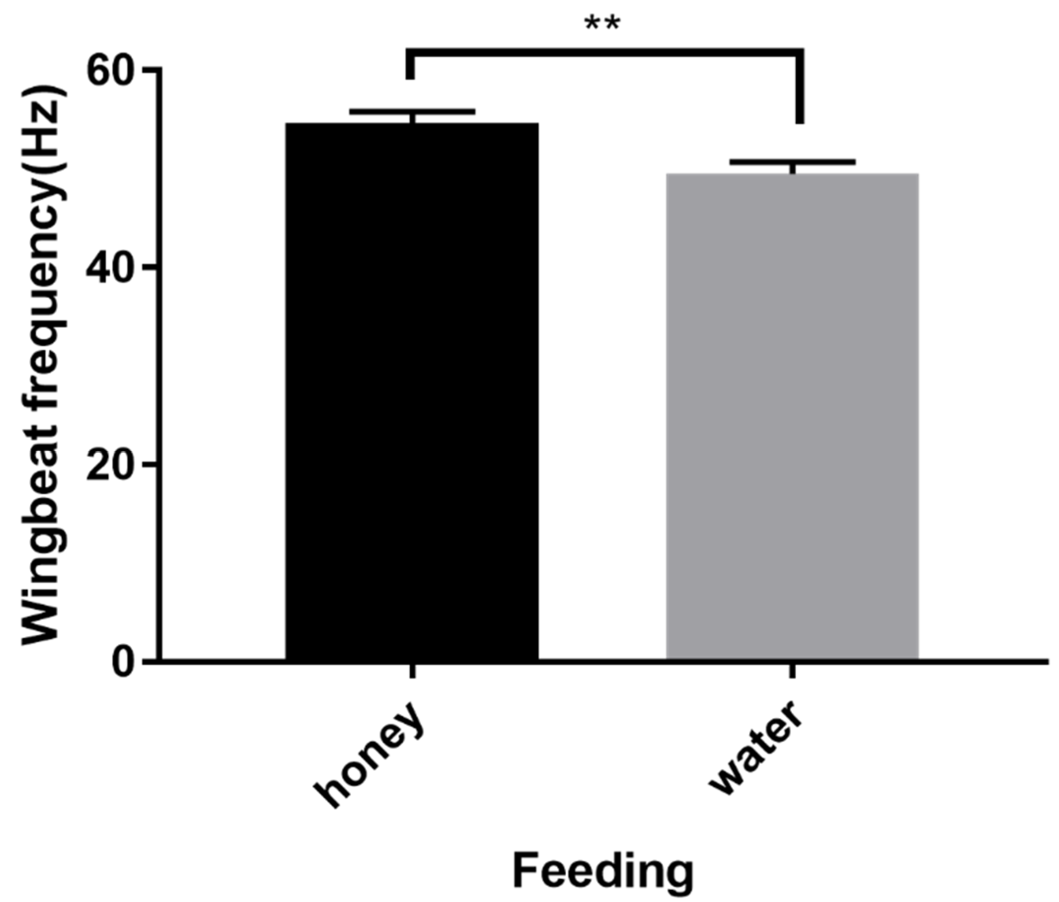 Insects 15 00138 g005