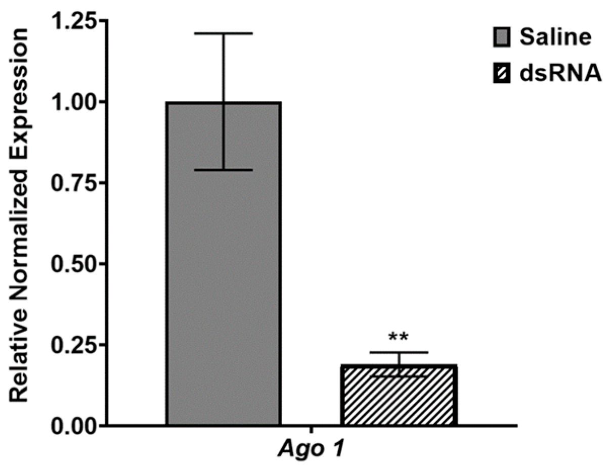 Insects 15 00147 g003