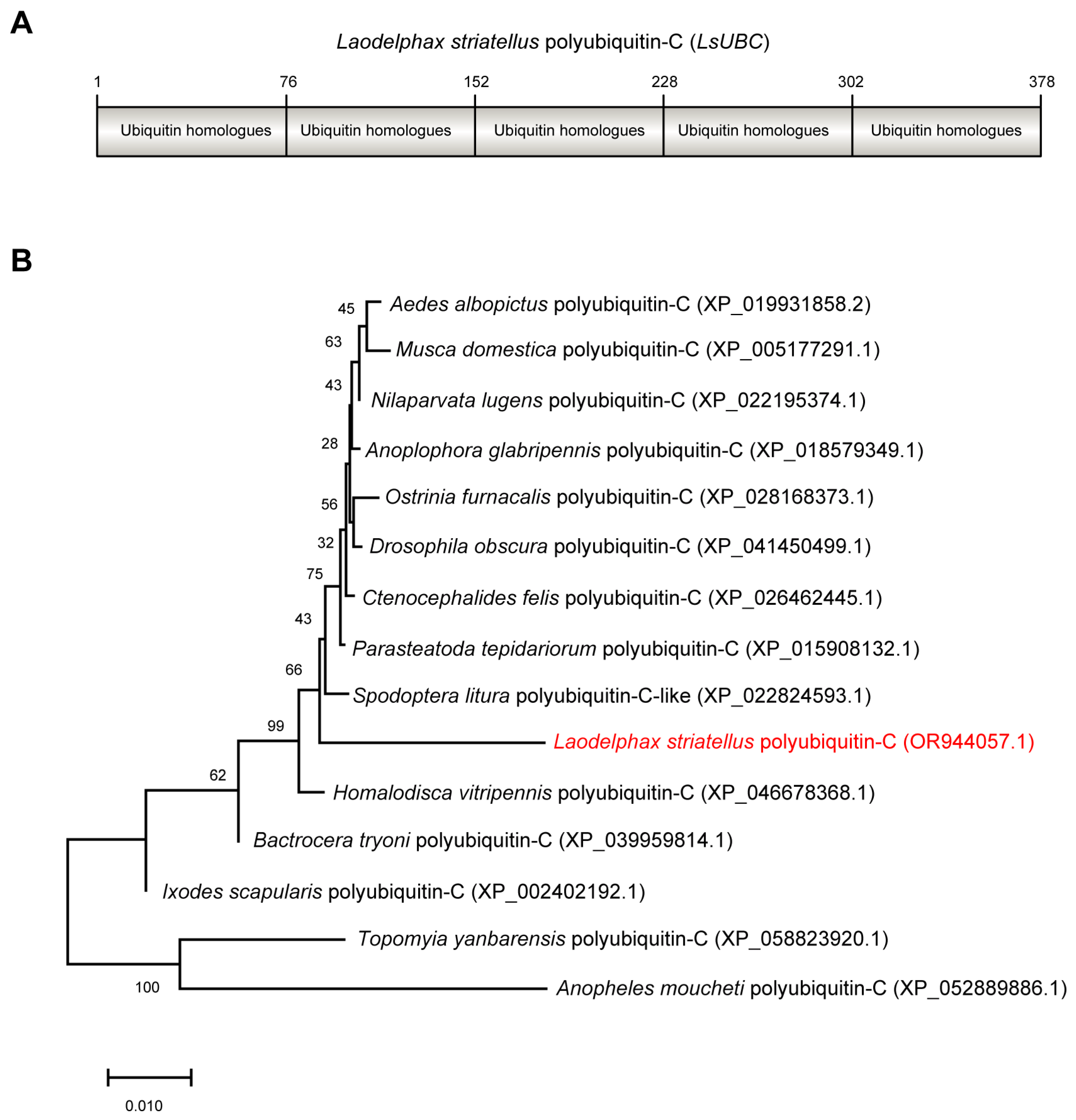 Insects 15 00149 g001