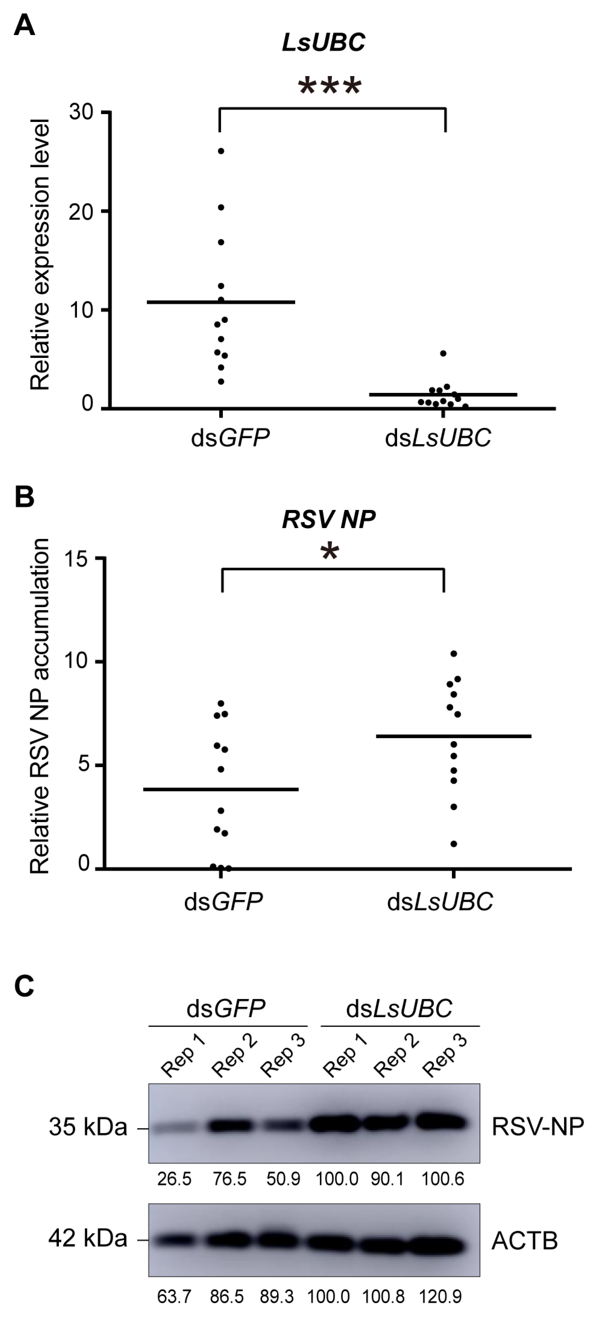 Insects 15 00149 g005
