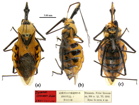 Insects 15 00165 g009