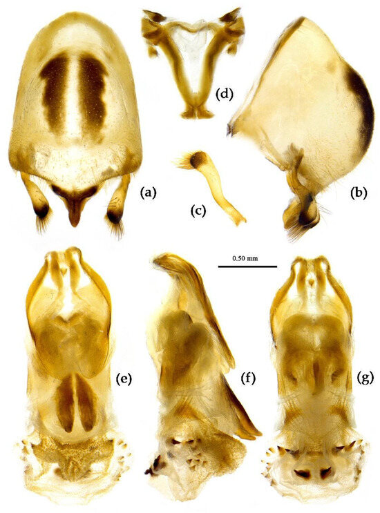 Insects 15 00165 g010