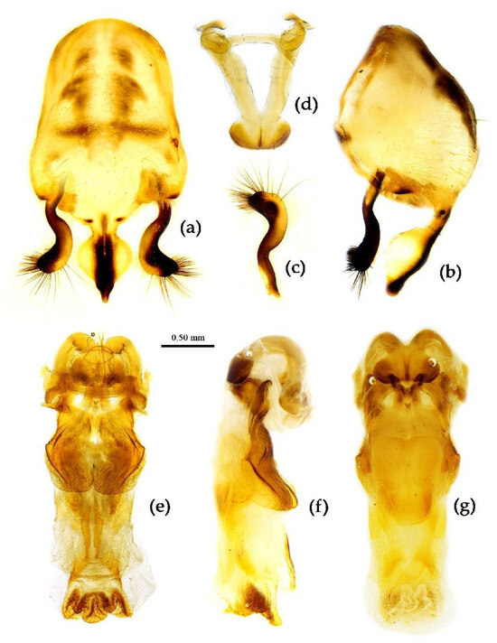 Insects 15 00165 g014