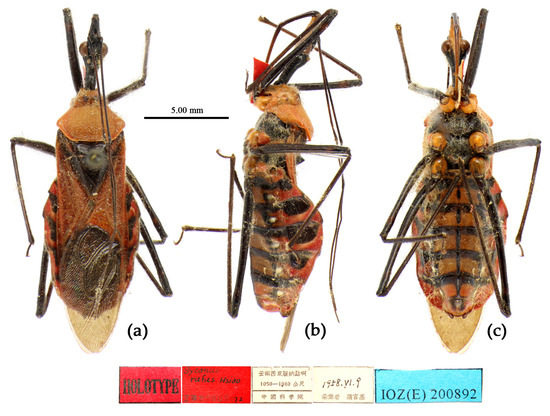 Insects 15 00165 g024