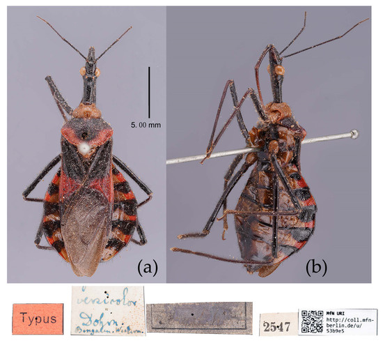 Insects 15 00165 g030