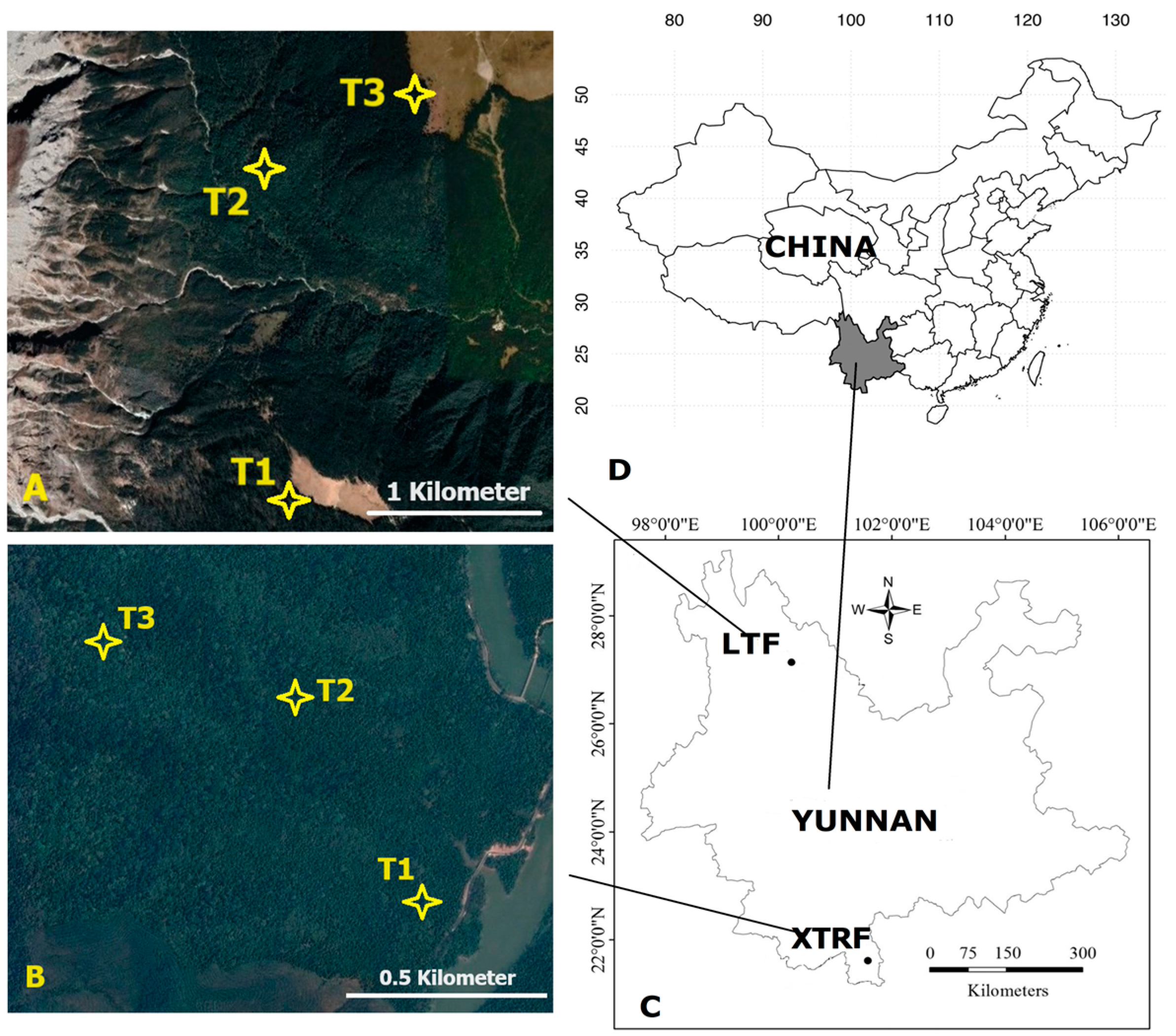 Insects 15 00166 g001