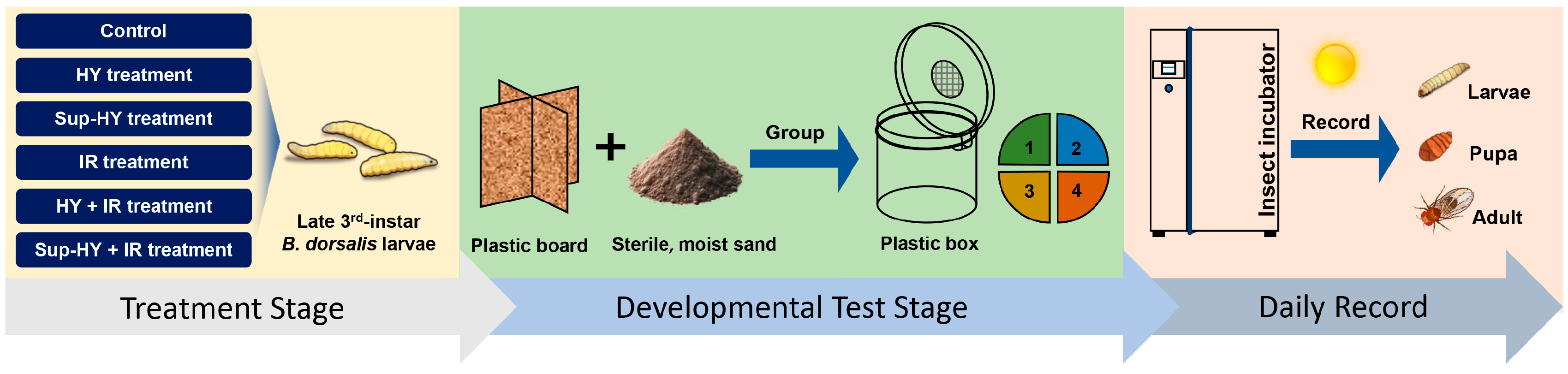 Insects 15 00177 g001
