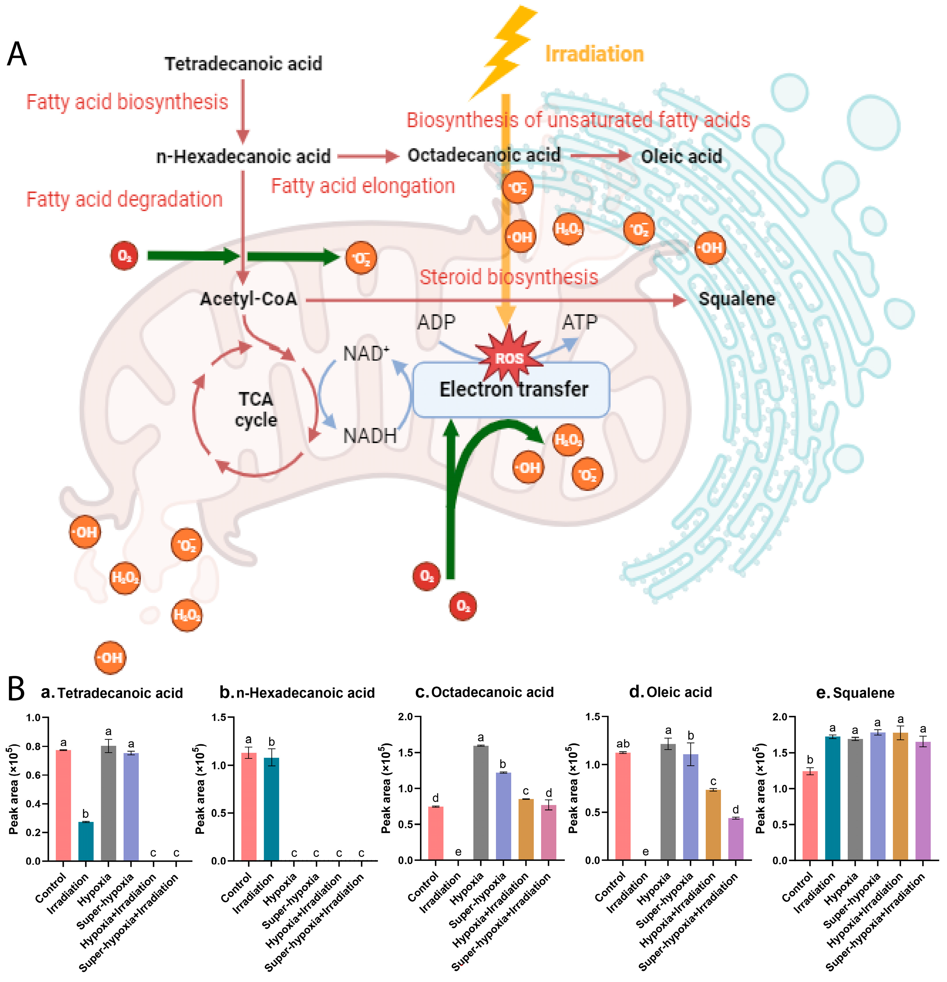 Insects 15 00177 g009